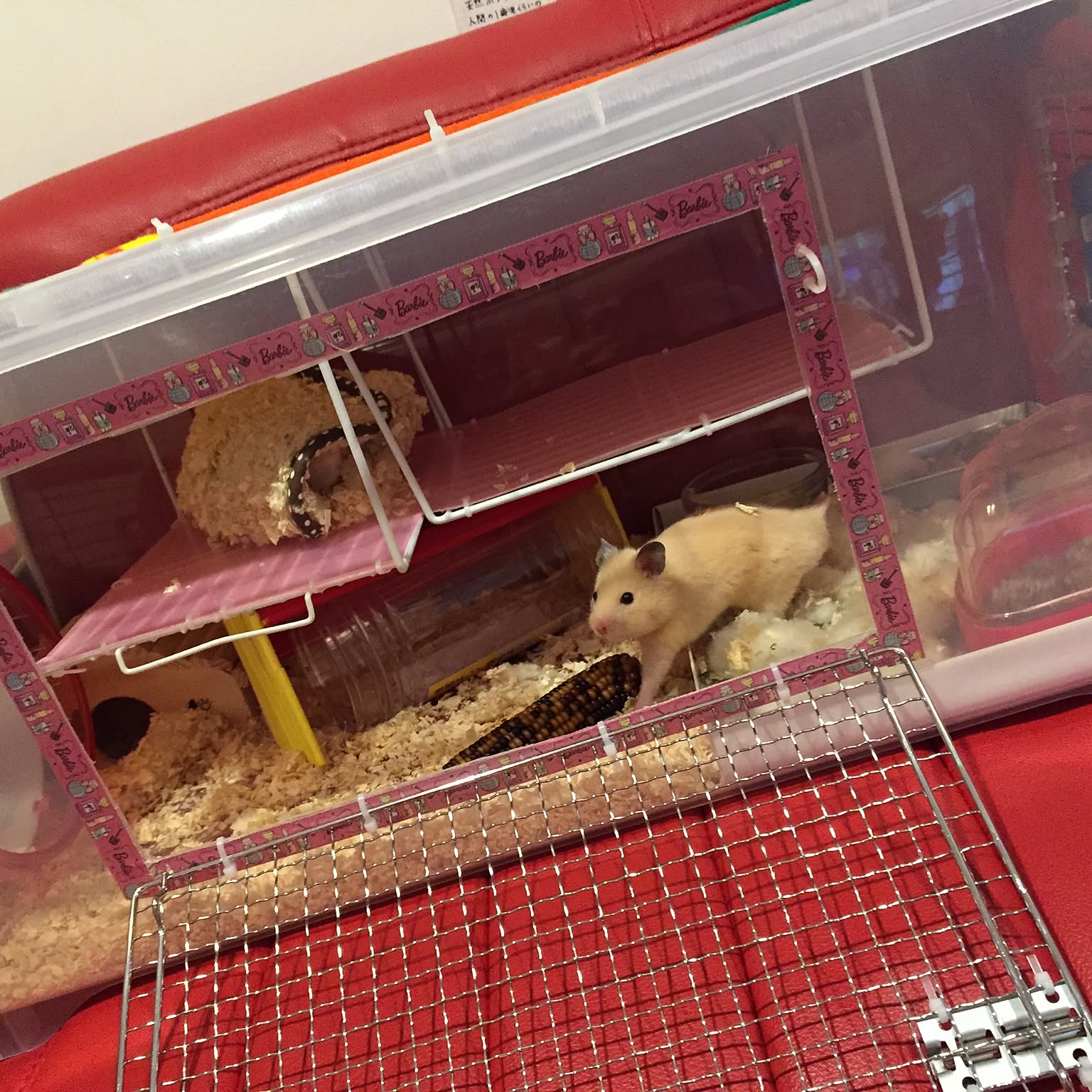 cd8bee59bdb65ca71b9eaf56280edb