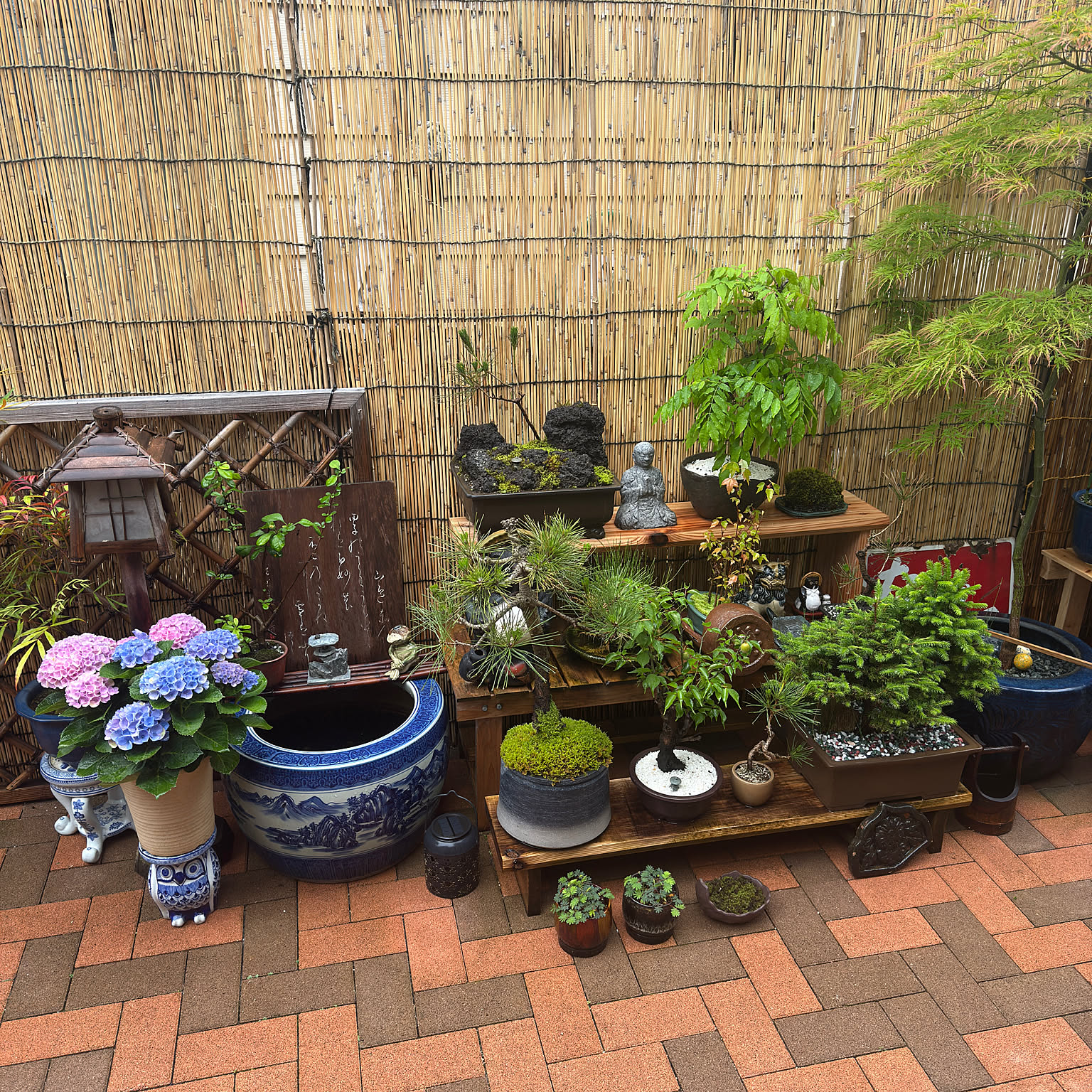 玄関/入り口 盆栽のおしゃれなアレンジ・飾り方のインテリア実例