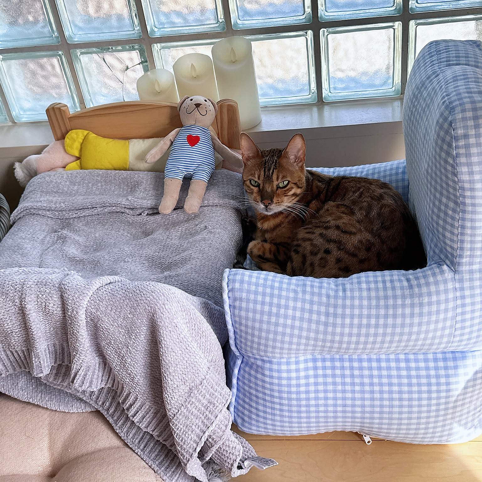 リモージュフランスソファーで眠る猫 - 小物入れ