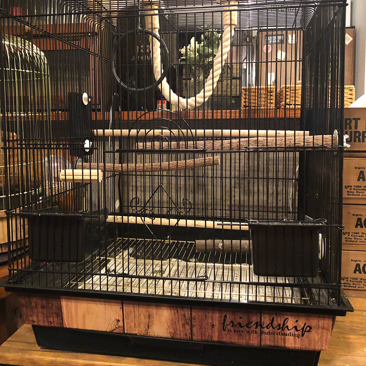 鳥かごリメイクのおすすめ商品とおしゃれな実例 ｜ RoomClip（ルーム