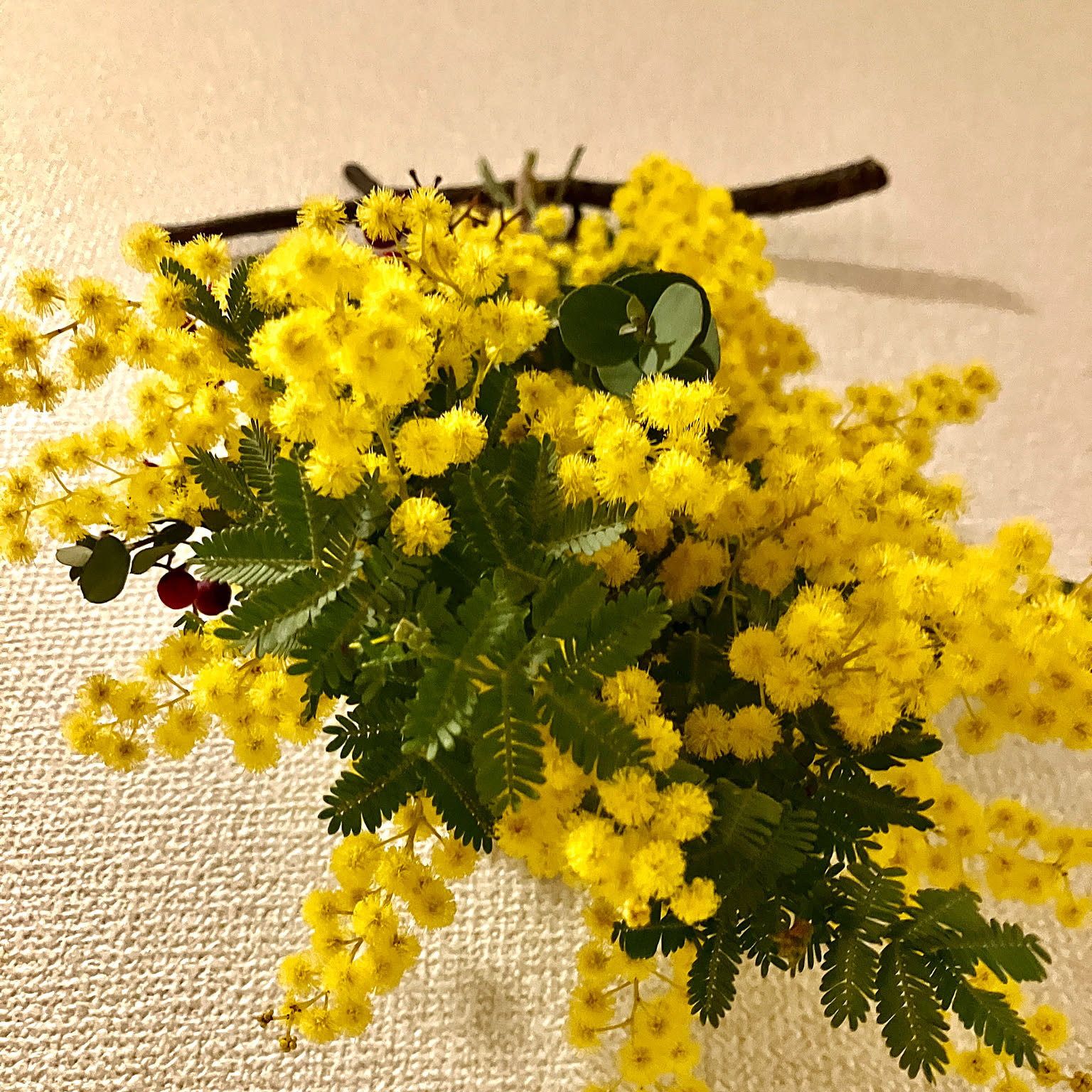 ミモザとユーカリのリースのおすすめ商品とおしゃれな実例 ミモザとユーカリのリースのおすすめ商品とおしゃれな実例