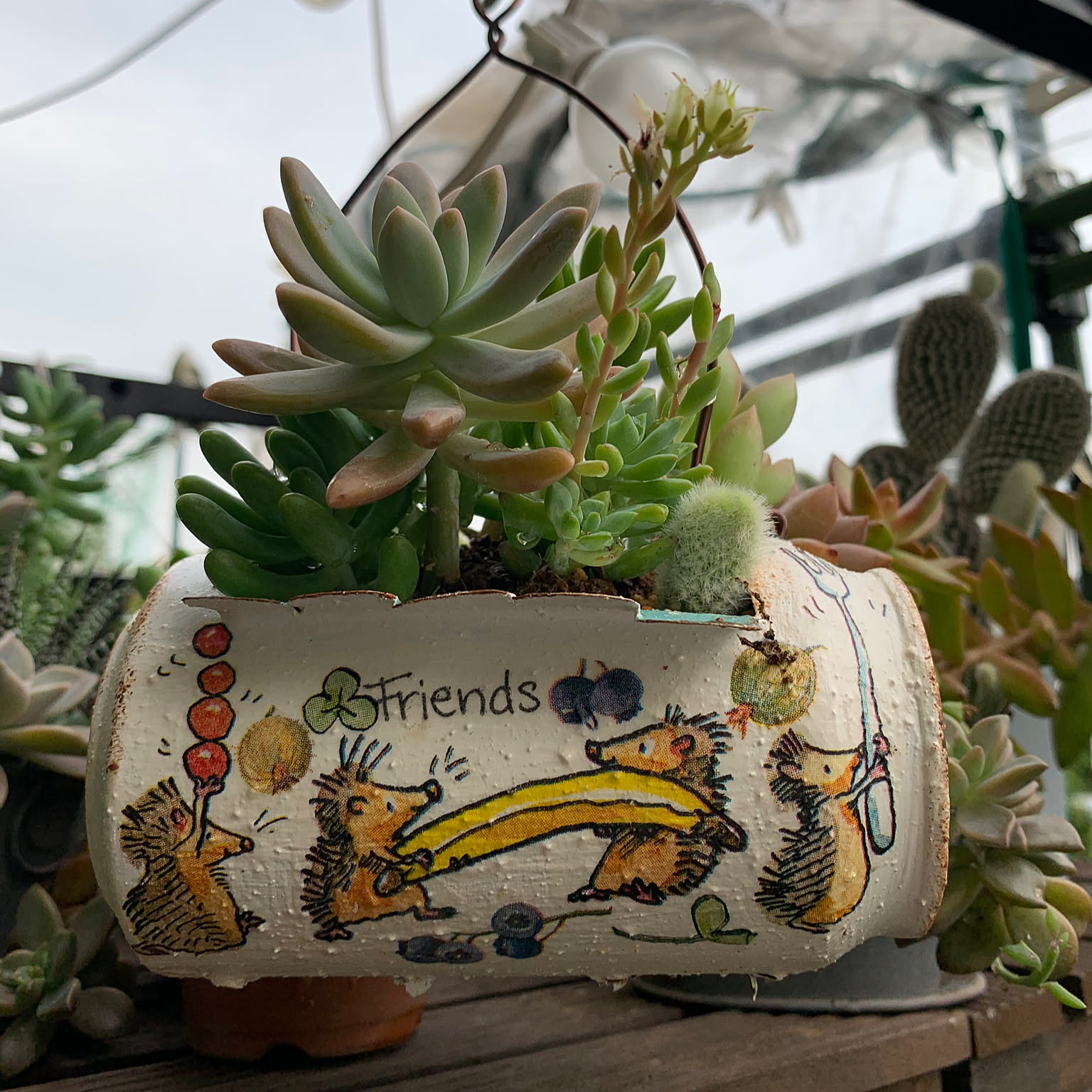 リメイク缶a-22☆多肉植物☺︎︎寄せ植え☺︎︎インテリア 錆風リメイク缶の多肉寄せ植え 多肉植物 osh25plant 通販 13724046