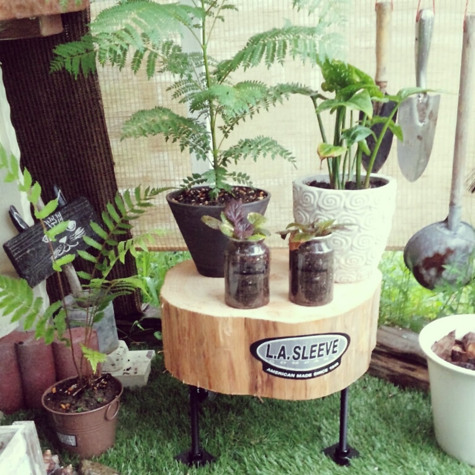 cfcc3652361e99e2dd27916c0af4ea