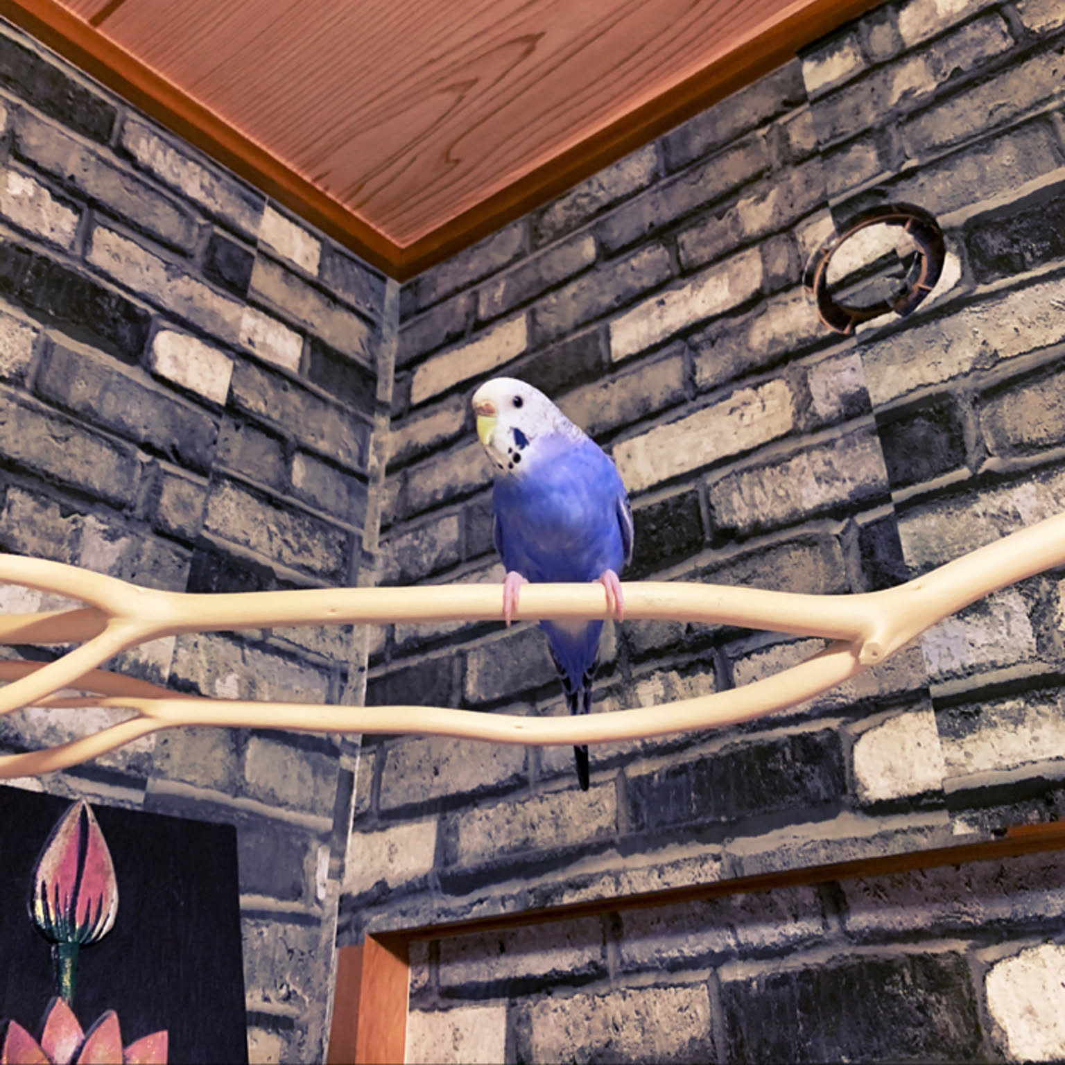 Coco7☆　流木　止まり台　インテリア　インコ　壁　鳥用品　植物　植物台 Coco7☆様専用 流木 止まり台 インテリア インコ 壁 鳥用品 植物