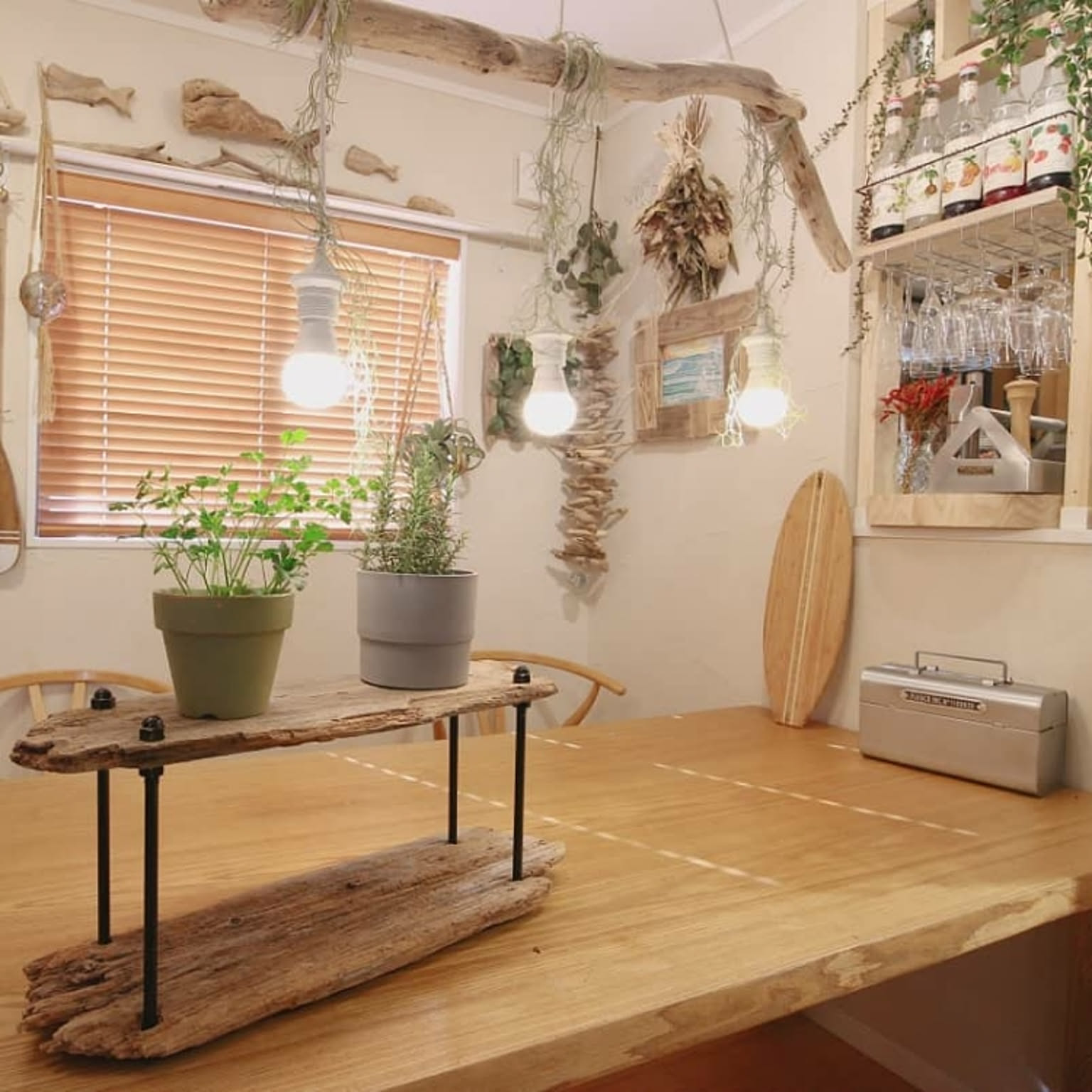 🅱セット11本・流木を利用してお部屋?イメチェン