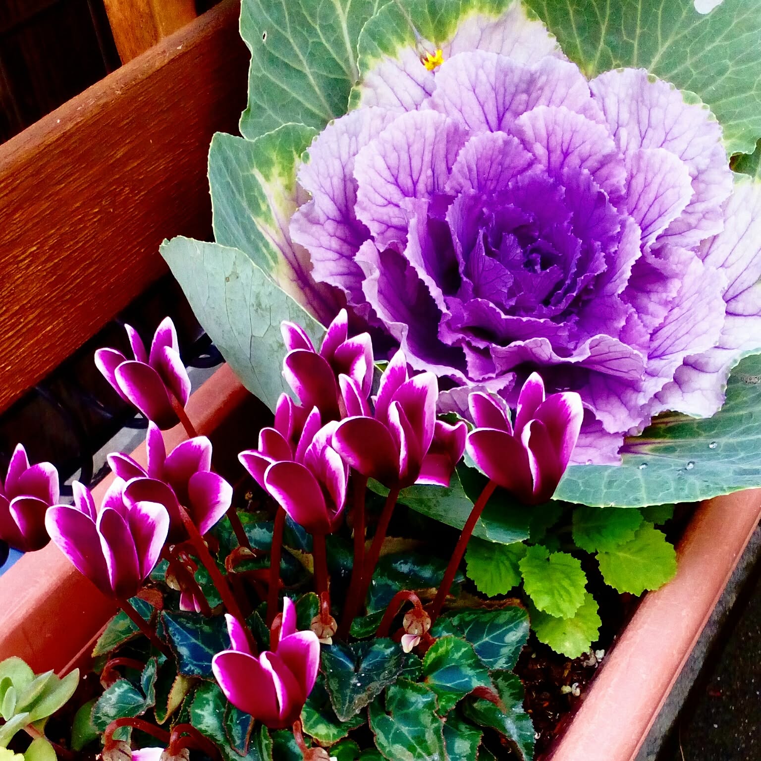 d07b9dd7416a43f05c205a82db2b79