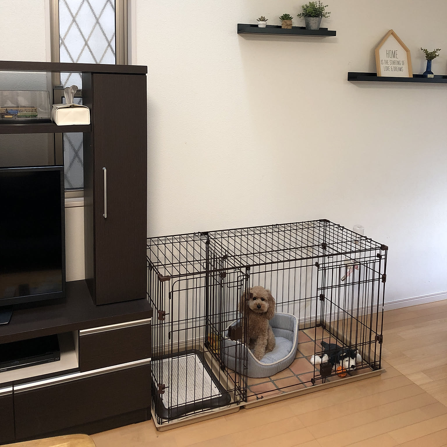 CAINZ HOME/犬用ケージ/ケージ/カインズホーム/トイプードルなどの