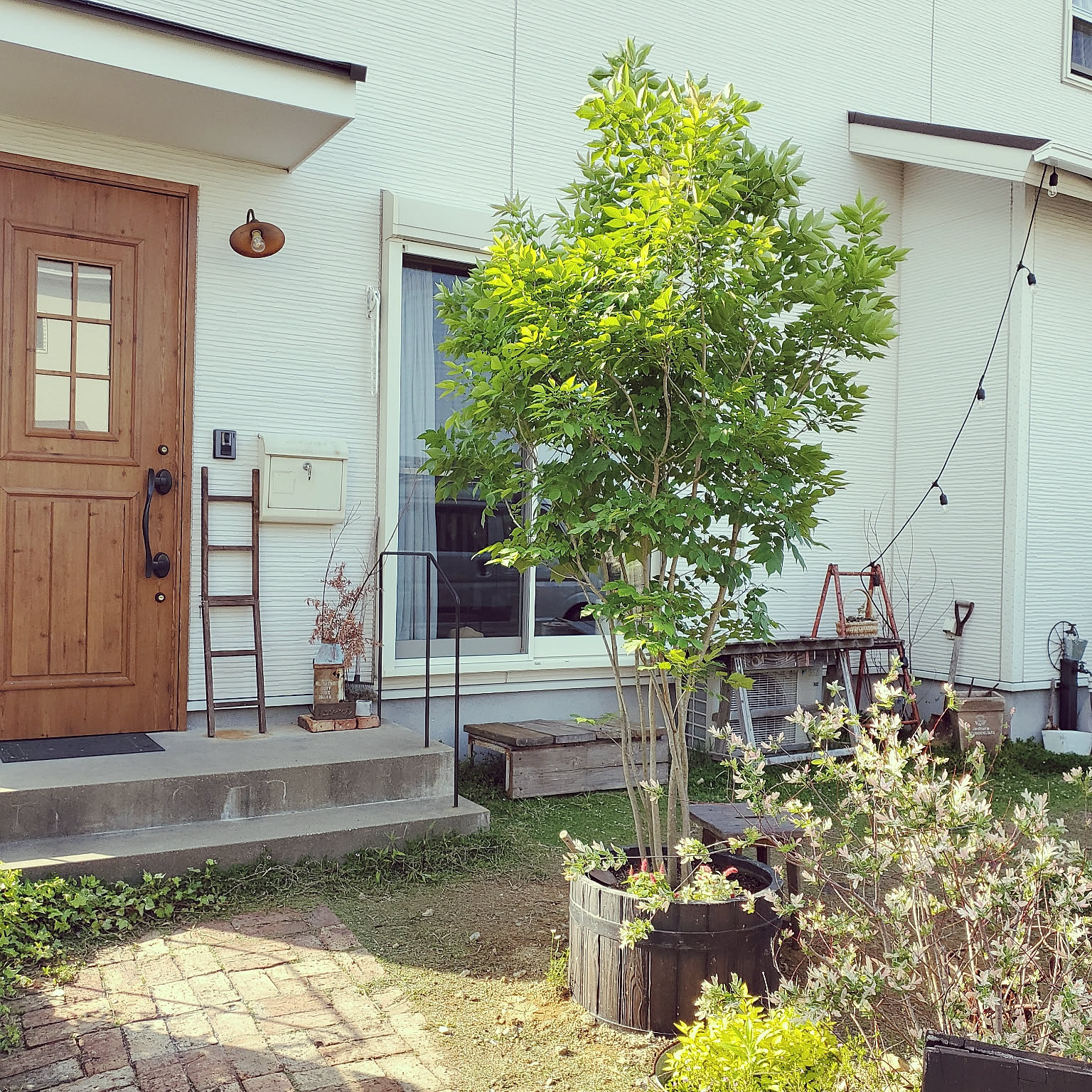 玄関/入り口/庭づくり/アオダモの木/レンガアプローチ/ガーデニング