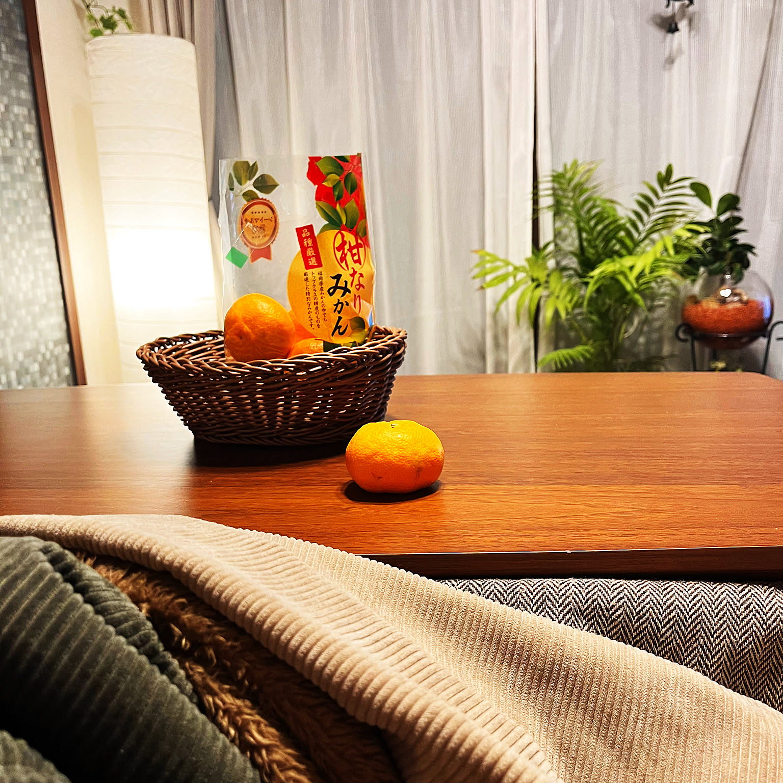こたつでみかんのおすすめ商品とおしゃれな実例 ｜ RoomClip（ルーム