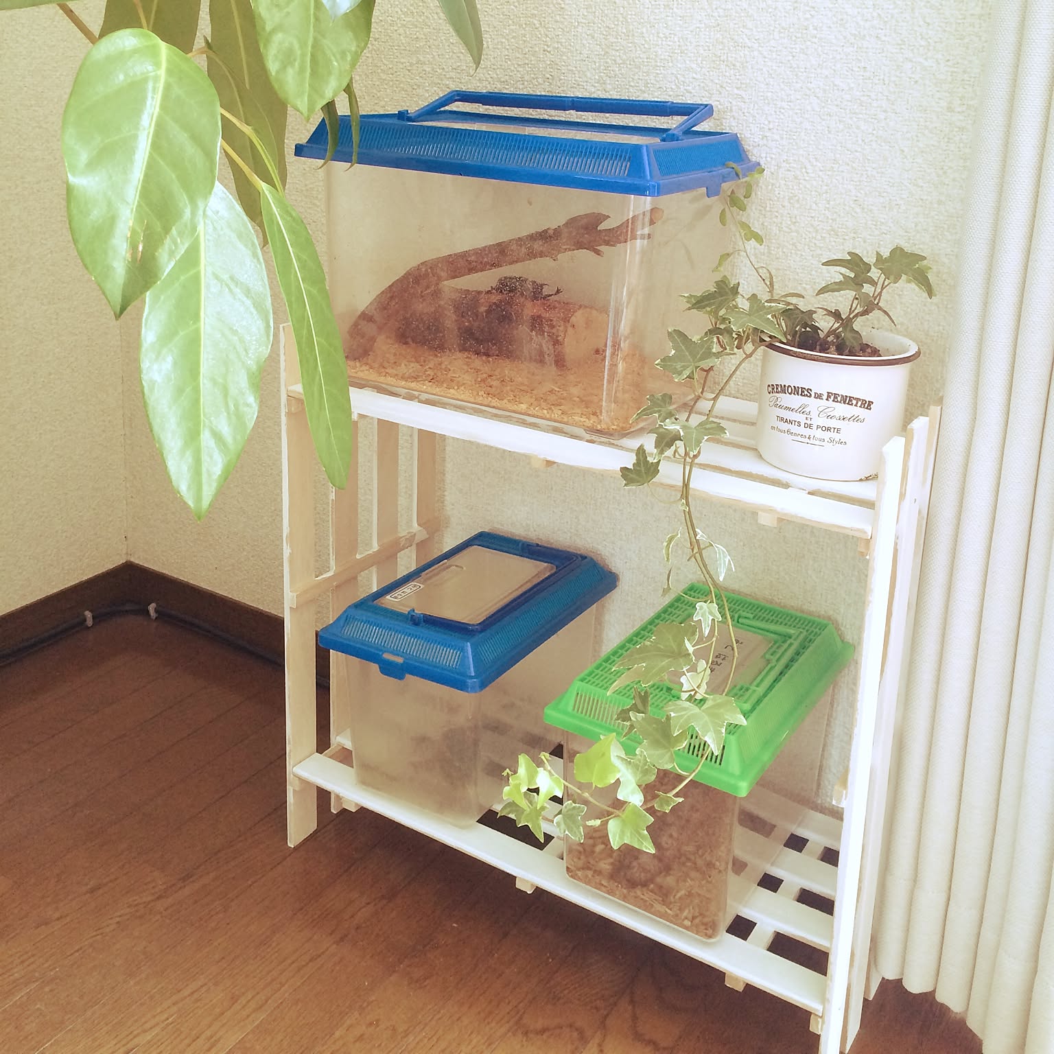 植物や昆虫飼育ガラス棚