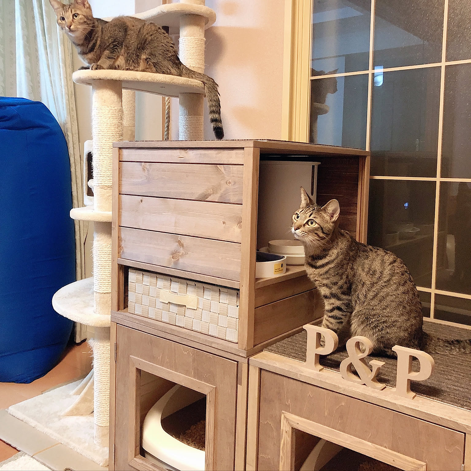 キャットタワー 猫トイレカバーのおすすめ商品とおしゃれな実例 キャットタワー 猫トイレカバーのおすすめ商品とおしゃれな実例