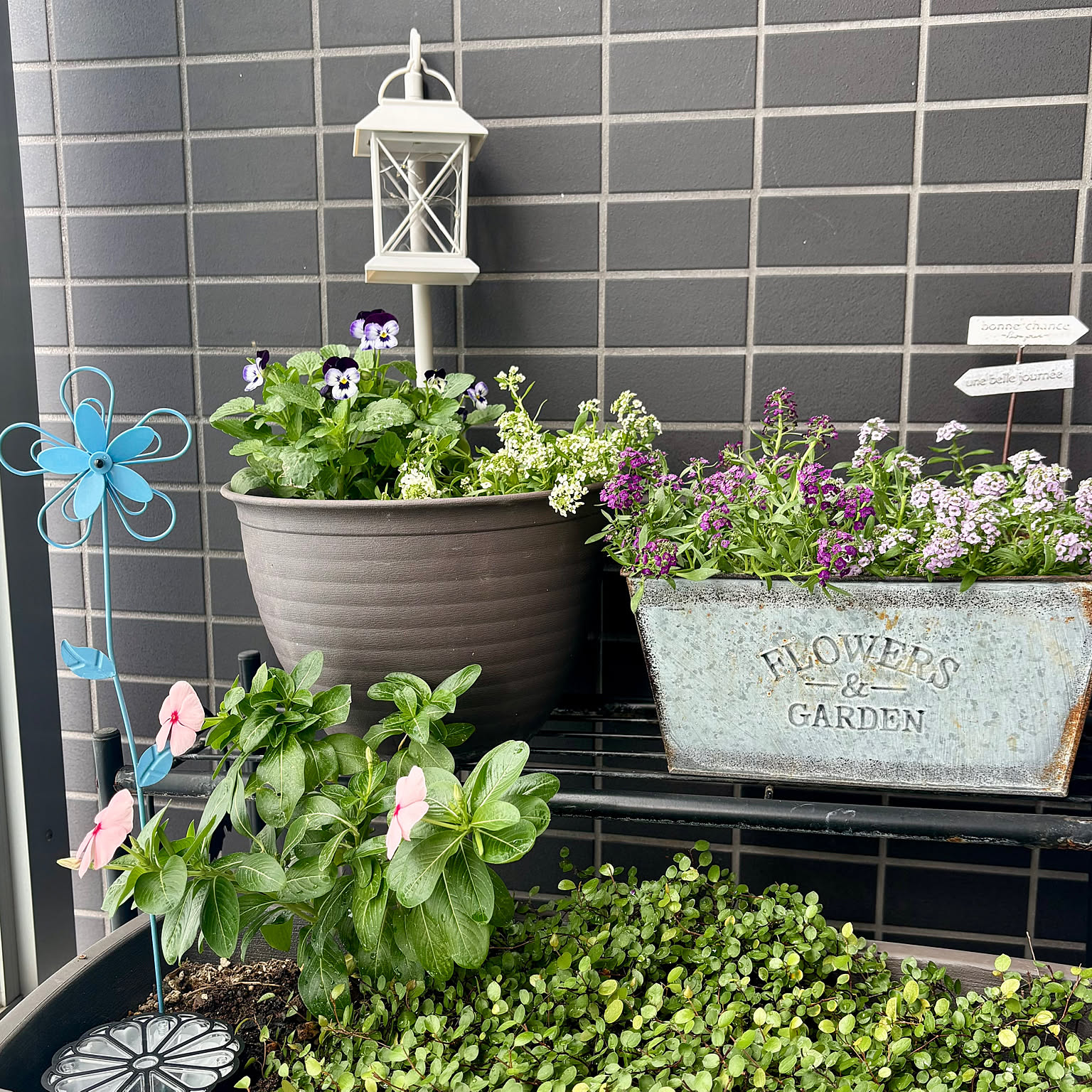 寄せ植え ソーラーライトのおすすめ商品とおしゃれな実例 ｜ RoomClip