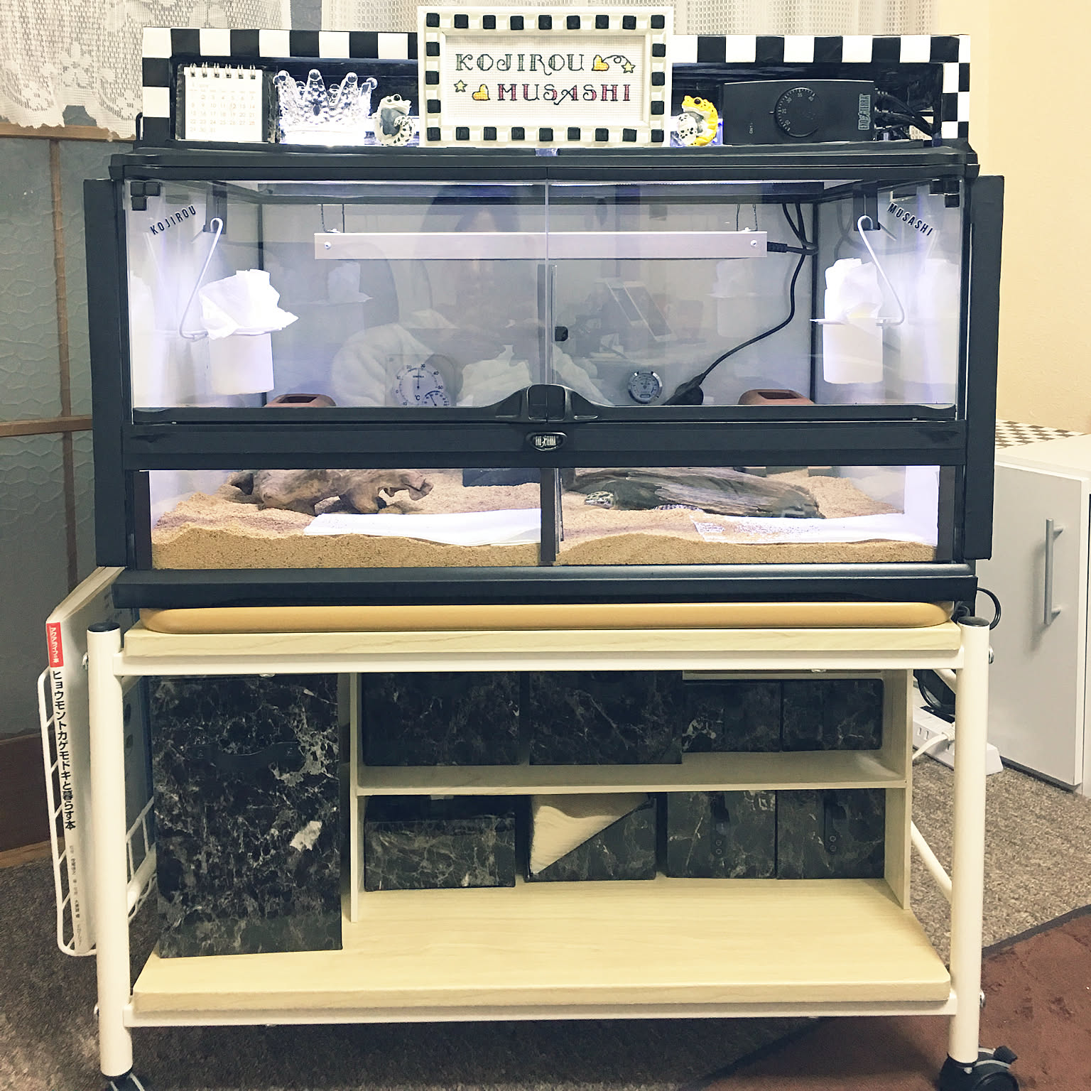 棚 爬虫類ケージのインテリア実例 ｜ RoomClip（ルームクリップ）