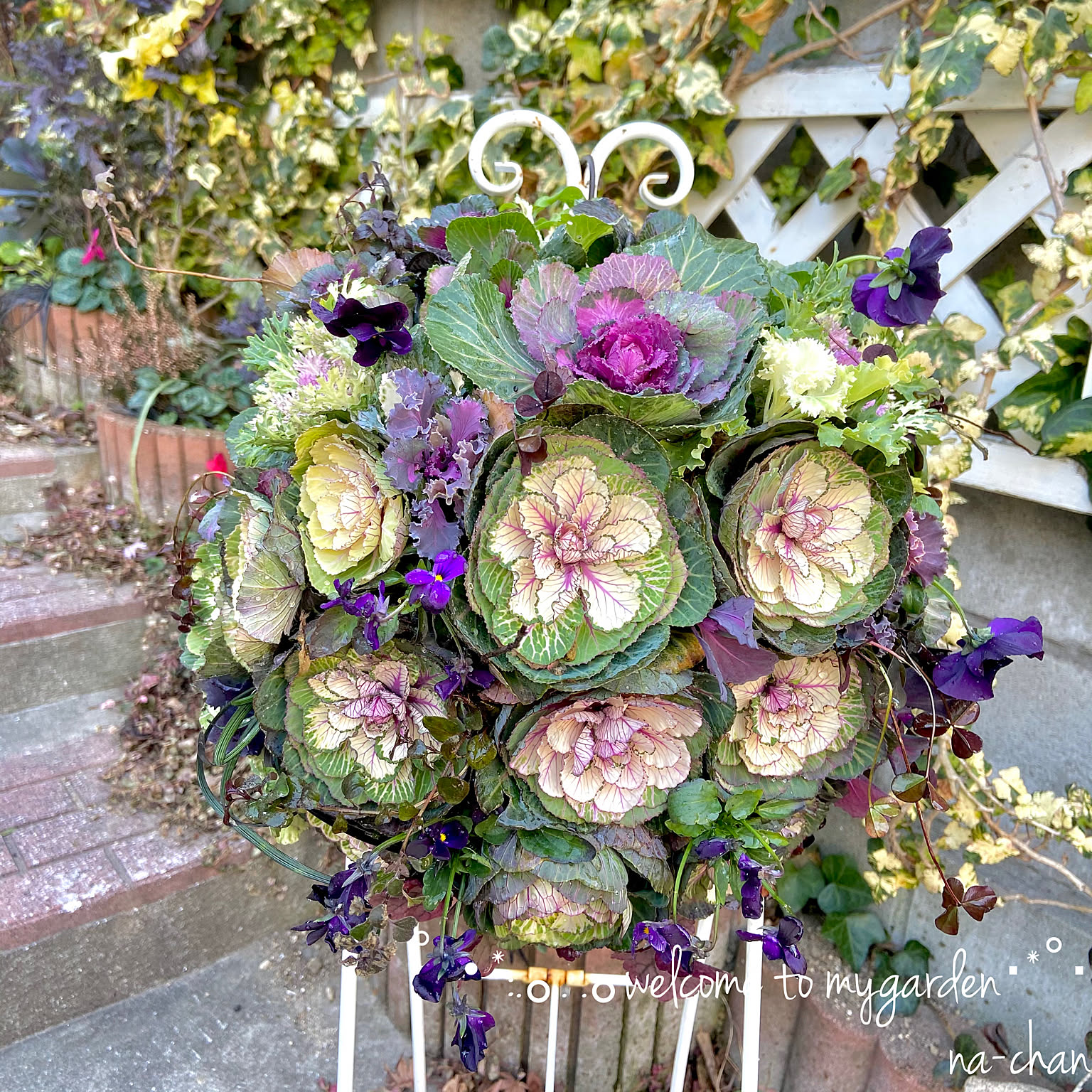 葉牡丹 ギャザリングリースのおすすめ商品とおしゃれな実例