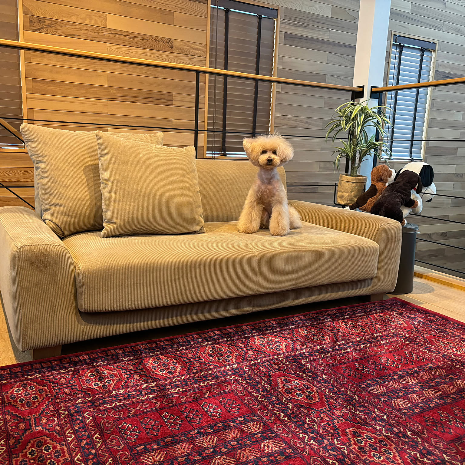 d587586e1e22d8773f6405e6f519a3