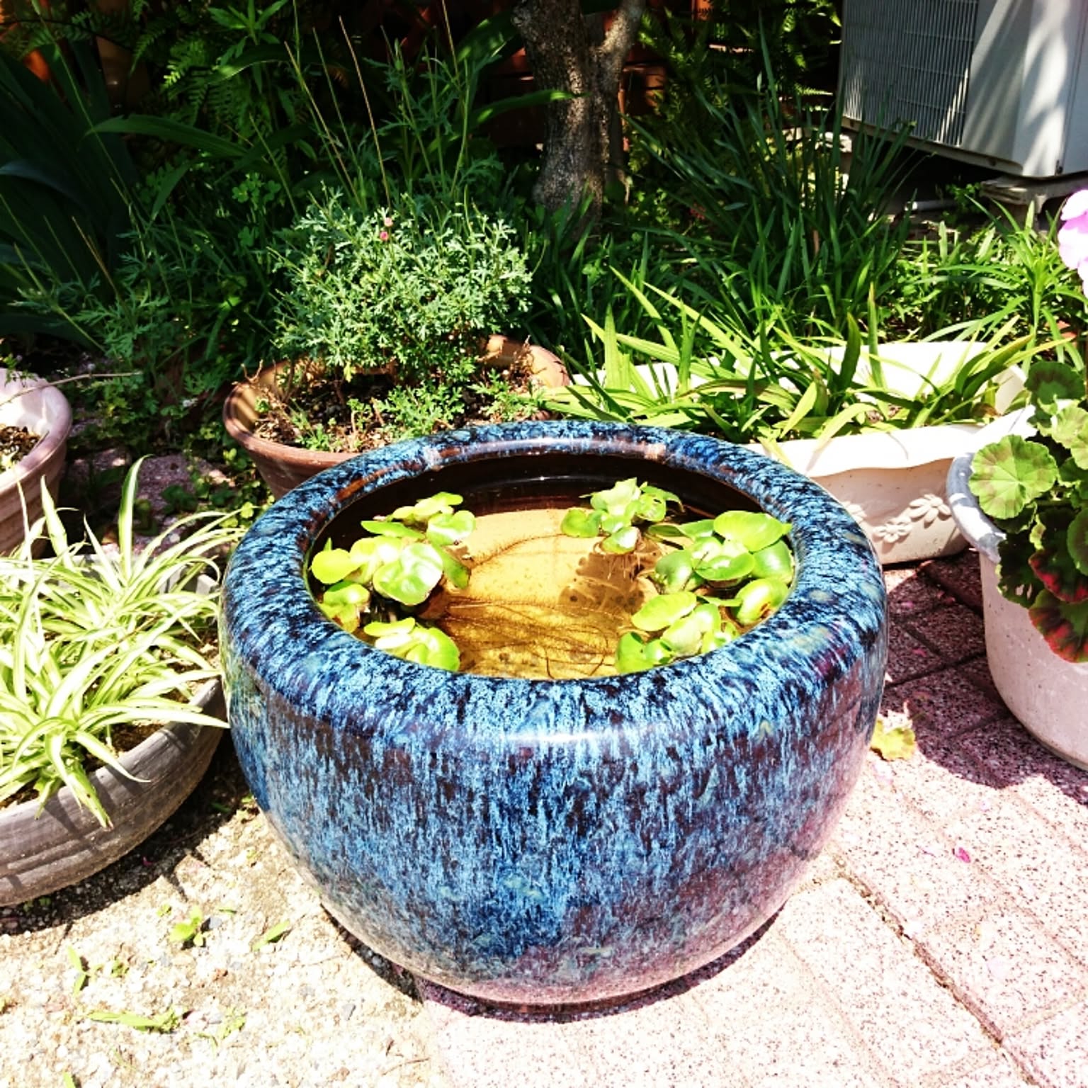 世界的に 火鉢 水鉢 大型 睡蓮鉢 メダカ鉢 シノワズリ アンティーク 美術 工芸品