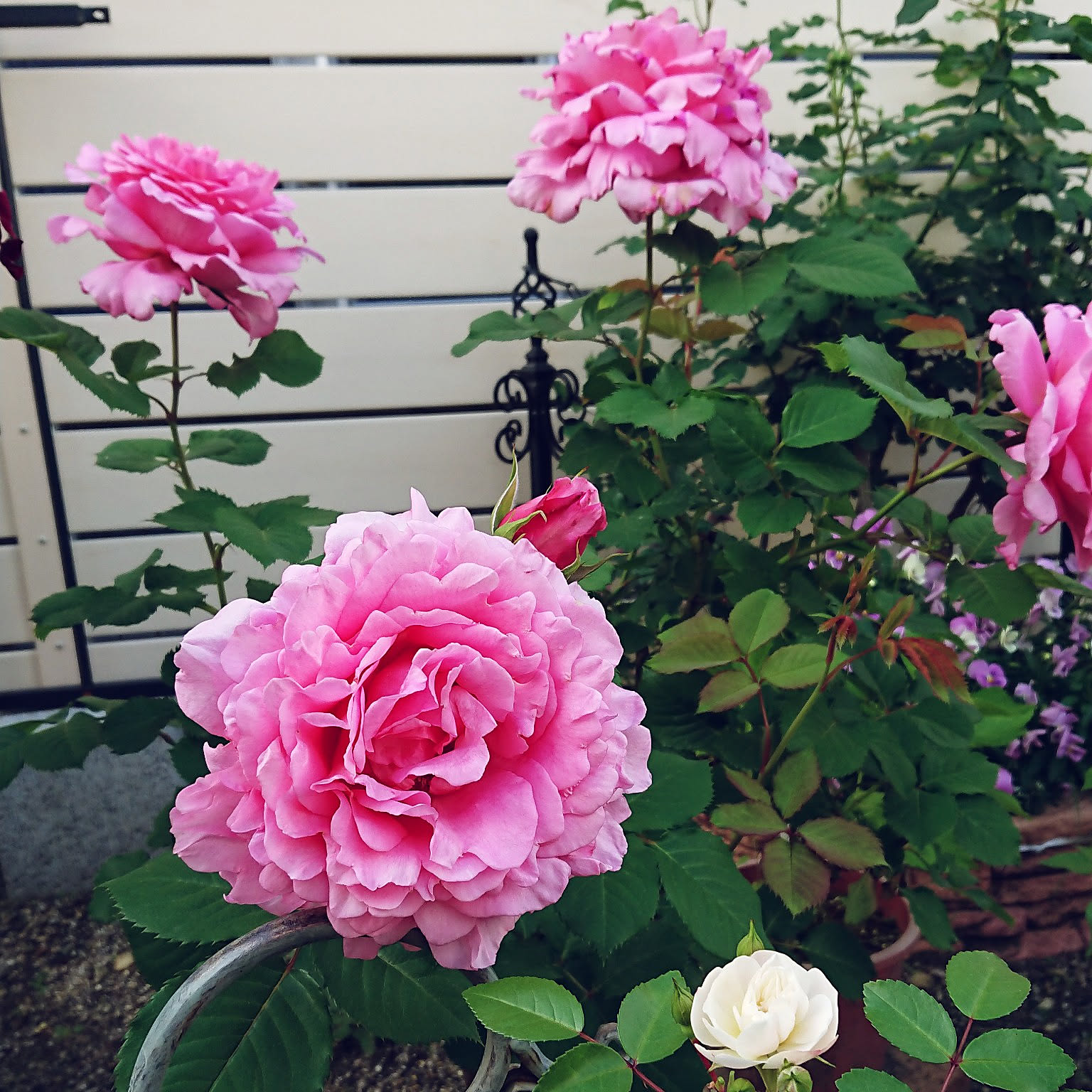 要問合せ♥️美しい薔薇空間♥️チェストミニテーブル薔薇ペイント