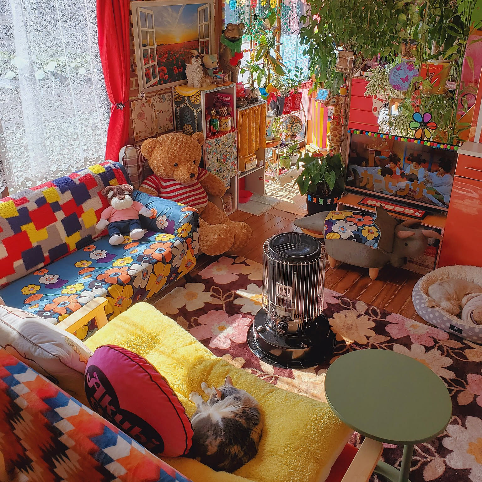 映えるカラフルインテリア 部屋全体/カラフル/日常。/犬と猫と暮らす/毎日の風景。などの