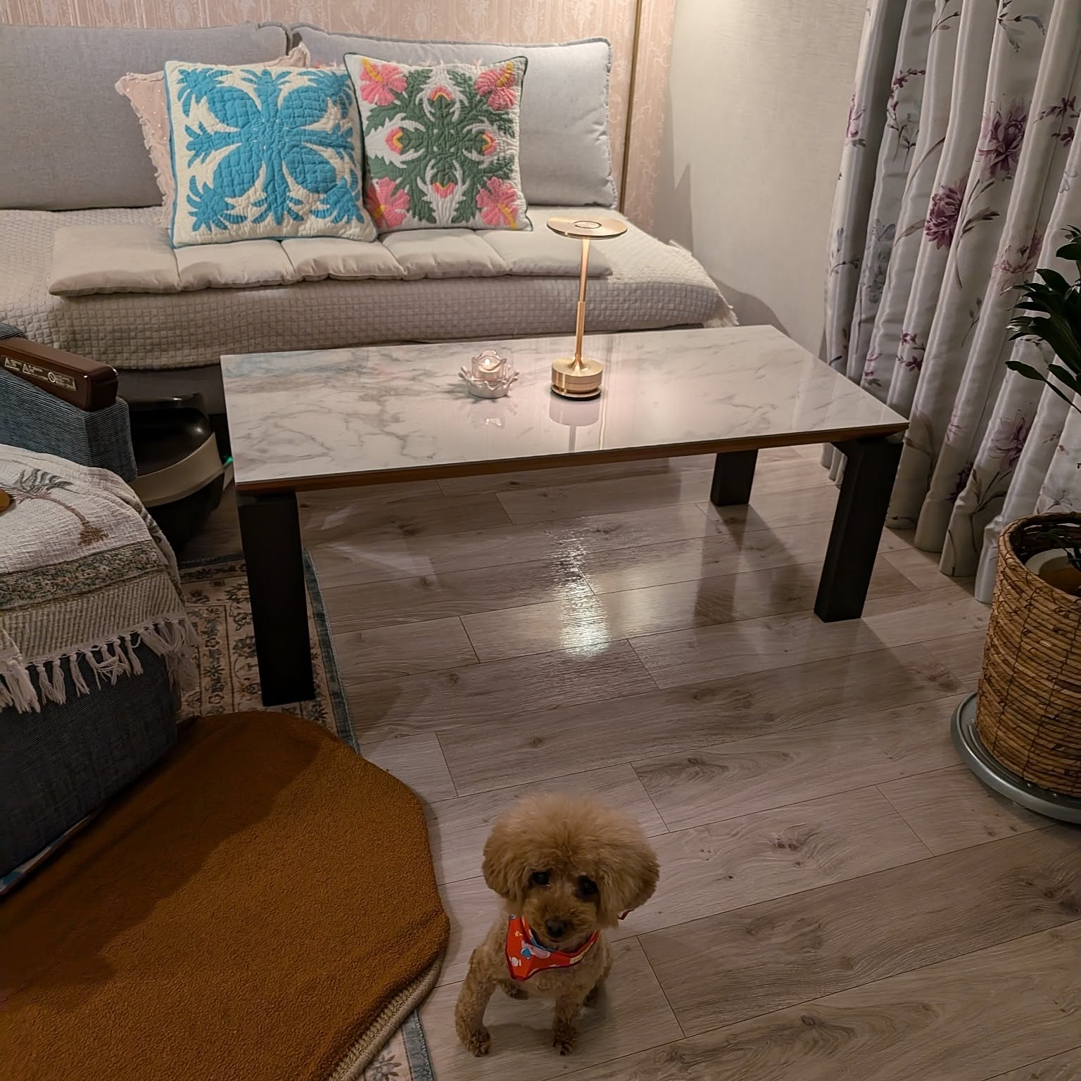 d9f99b469bff4a4b88752c1128aeeb