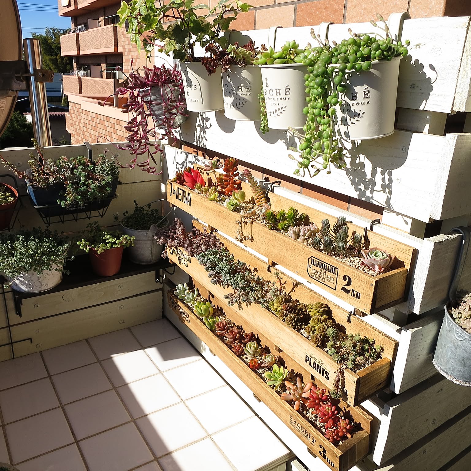 なおちゃん様　多肉植物棚　GAI-702TB追加あり なおちゃん様 多肉植物棚 GAI-702TB追加あり 多肉植物/多肉植物