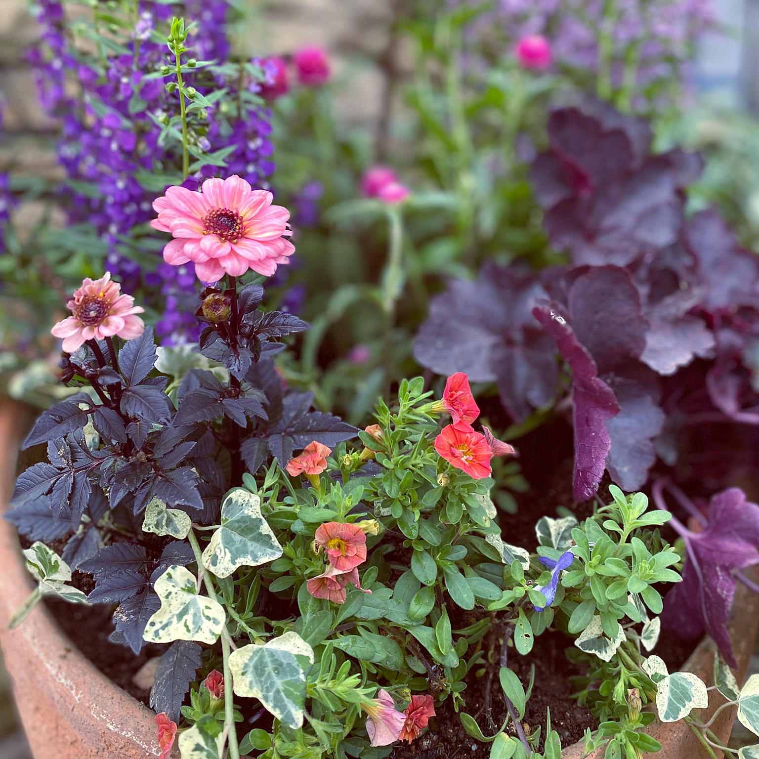 da9256f7051f1549cc8682a2717ffb