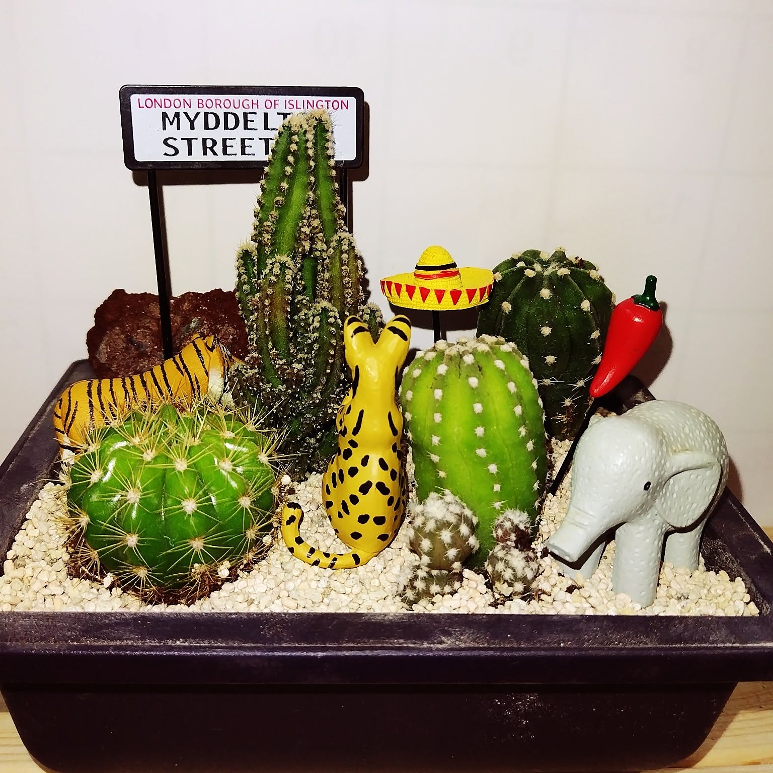 ミニチュア猫島アイランドフェイクガーデン、ハンドメイド、1点物、多肉植物サボテン dad5016a34e09857fc33b5dcb831a6
