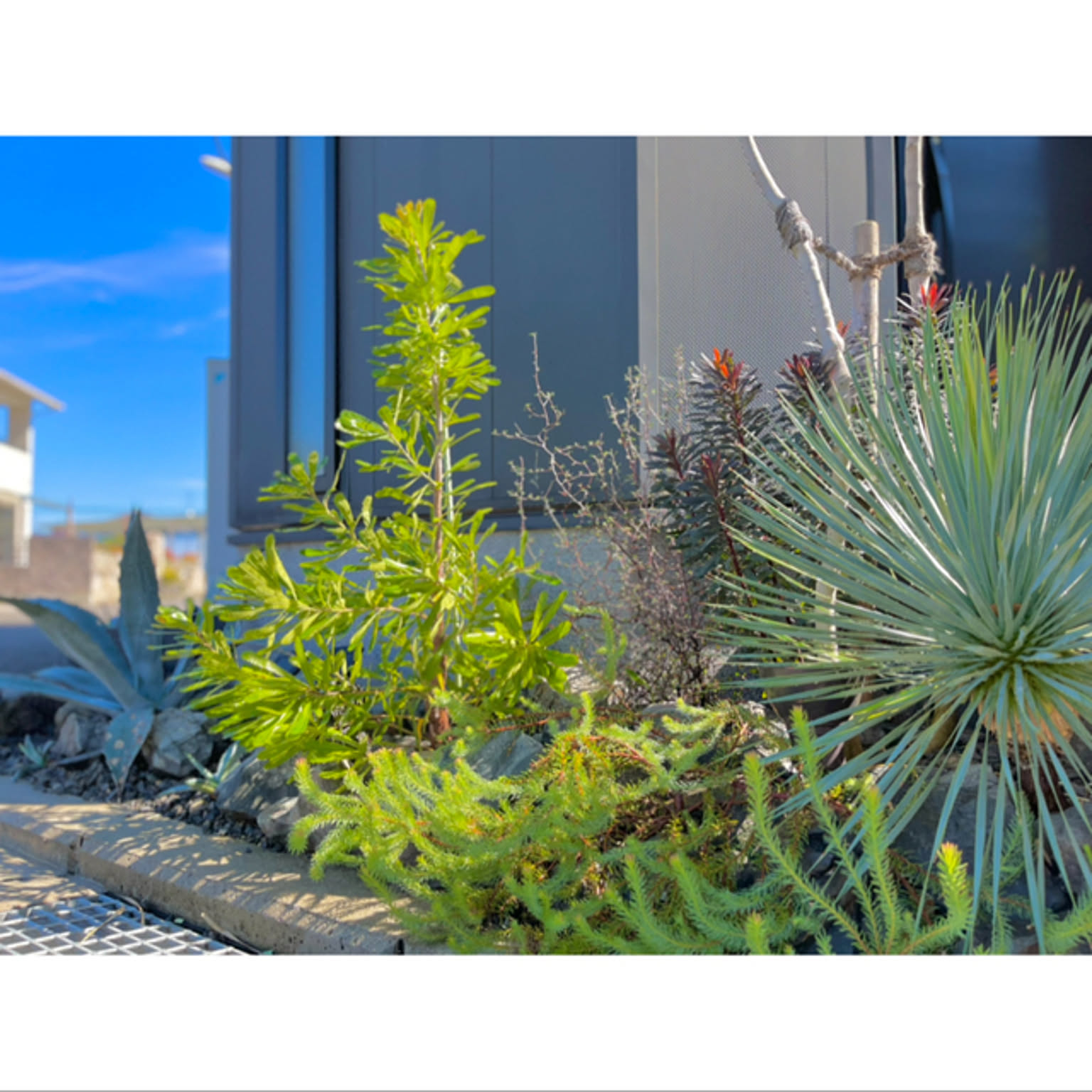 db5d482f63859ec944ac53ea317b2a