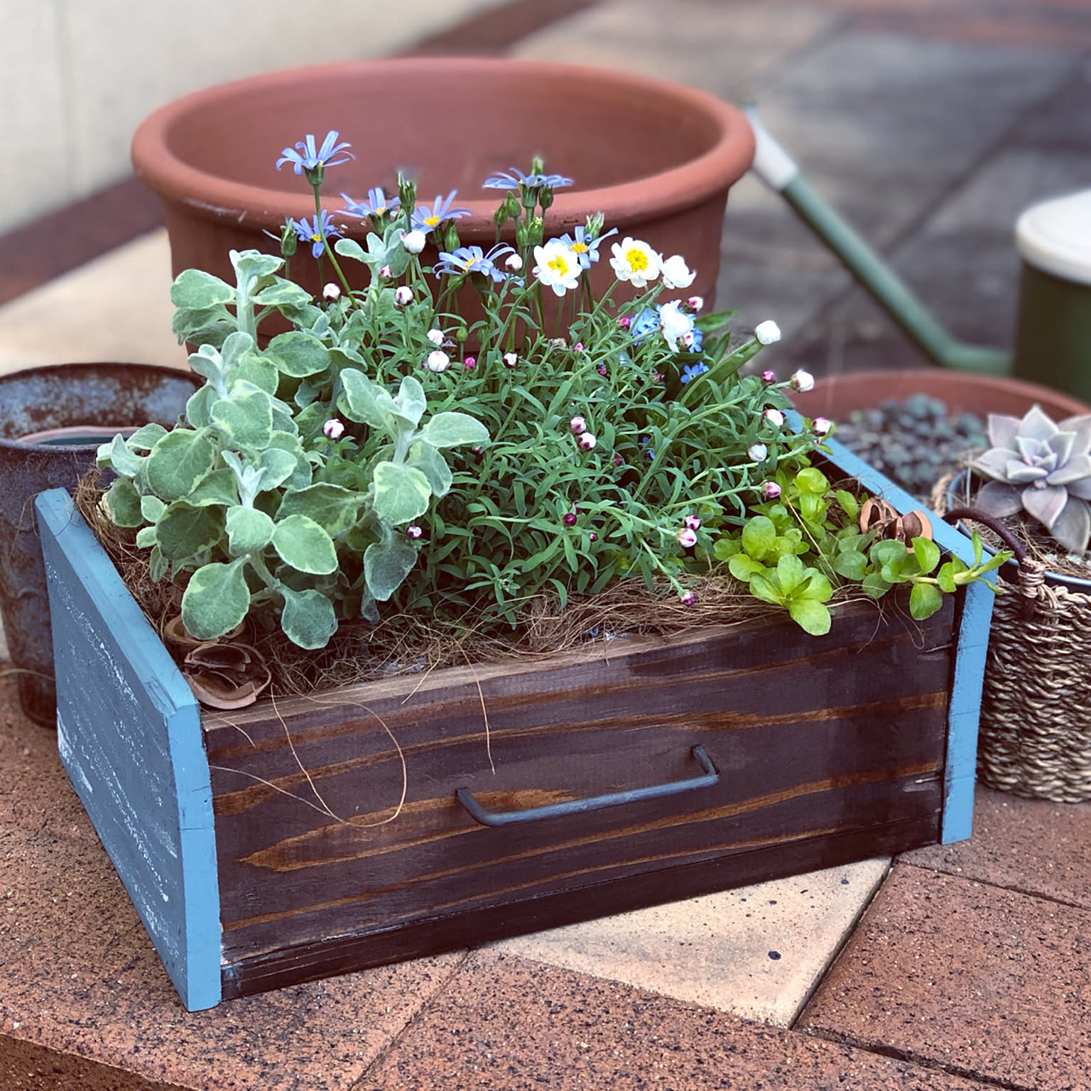 木箱の寄せ植えのおすすめ商品とおしゃれな実例 ｜ RoomClip