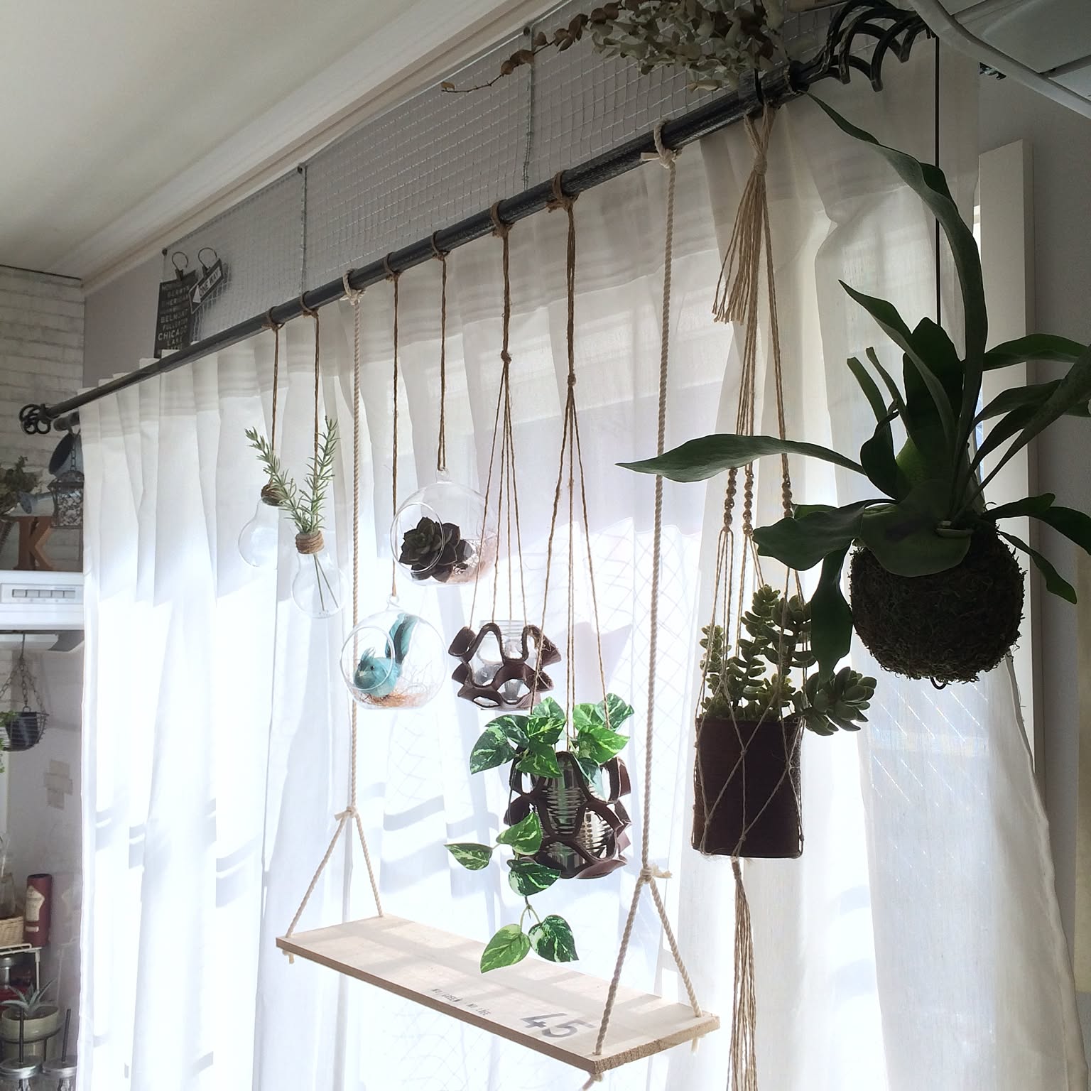 エアプランツ 苔玉のおしゃれなアレンジ・飾り方のインテリア実例