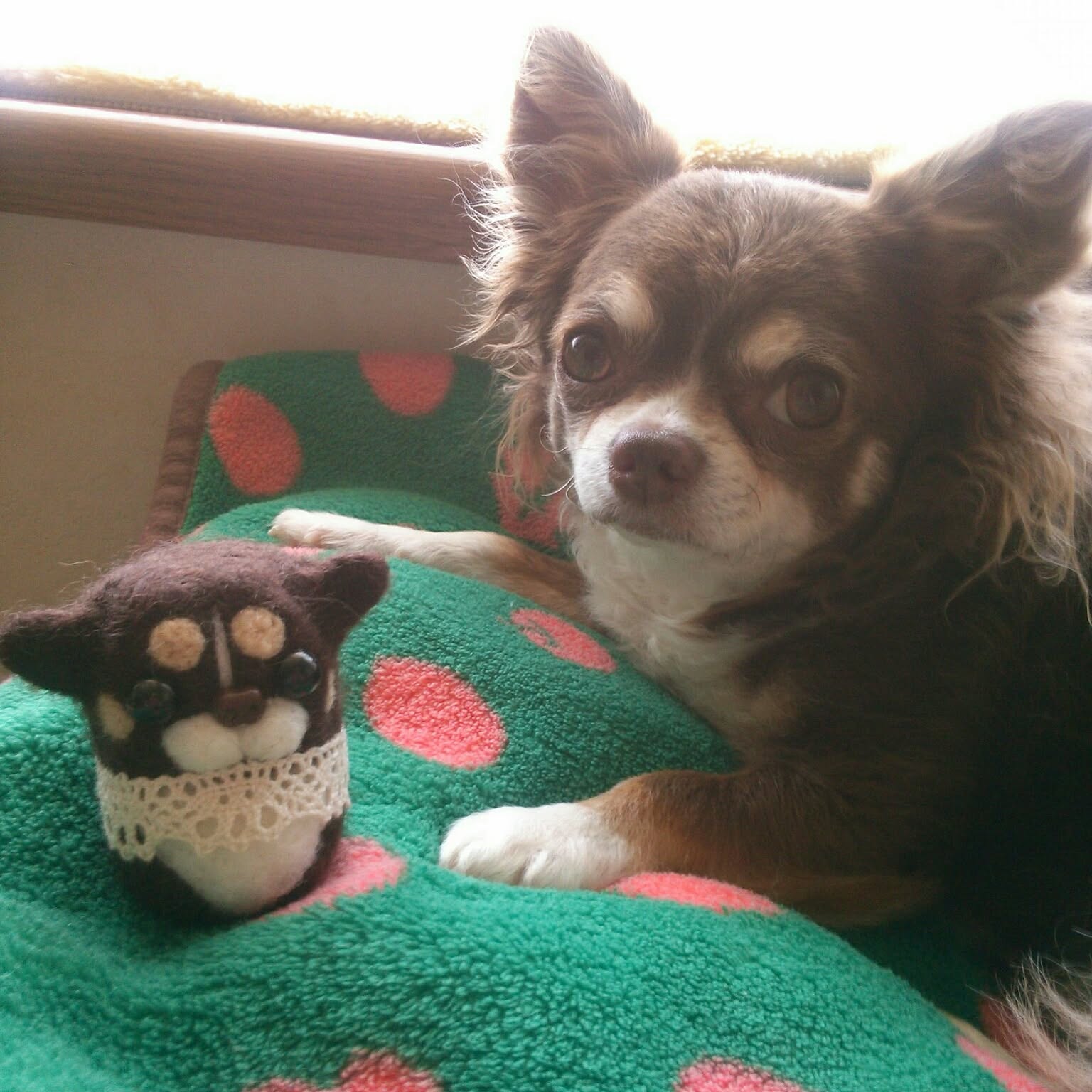 羊毛フェルトハロウィンチョコタンチワワインテリアハロウィーン飾り