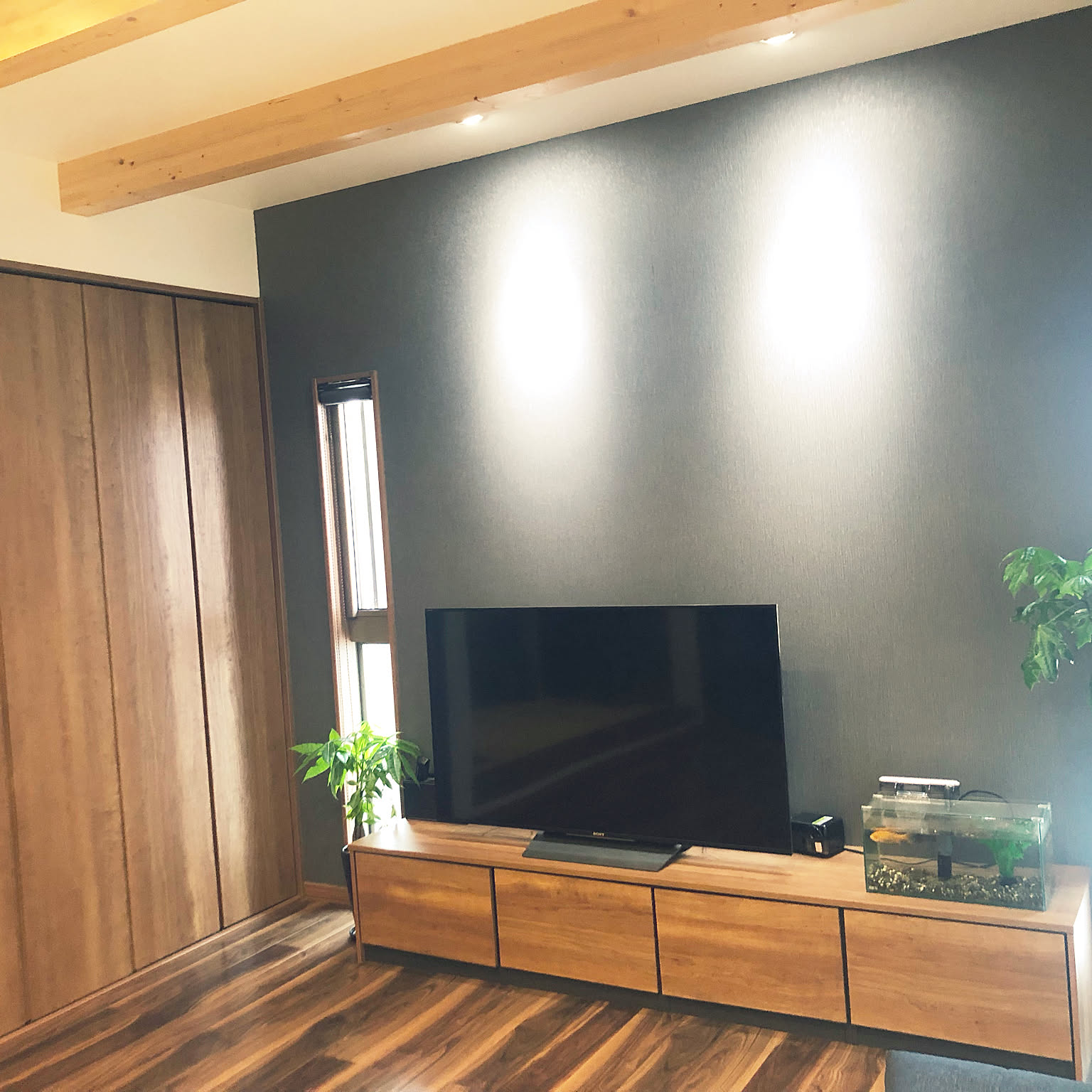 dce9d8ff1af7087e3afa9c04a3bf56