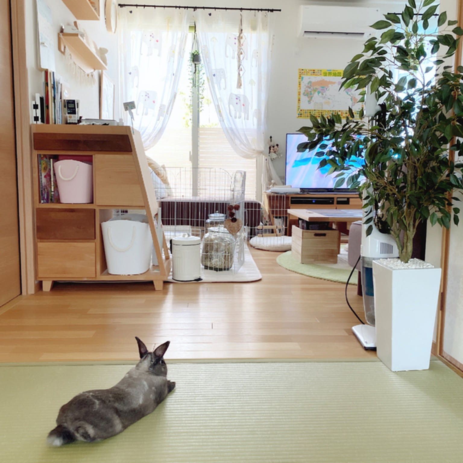 dd04d1ab80d54f9c7d0453304ff0b4