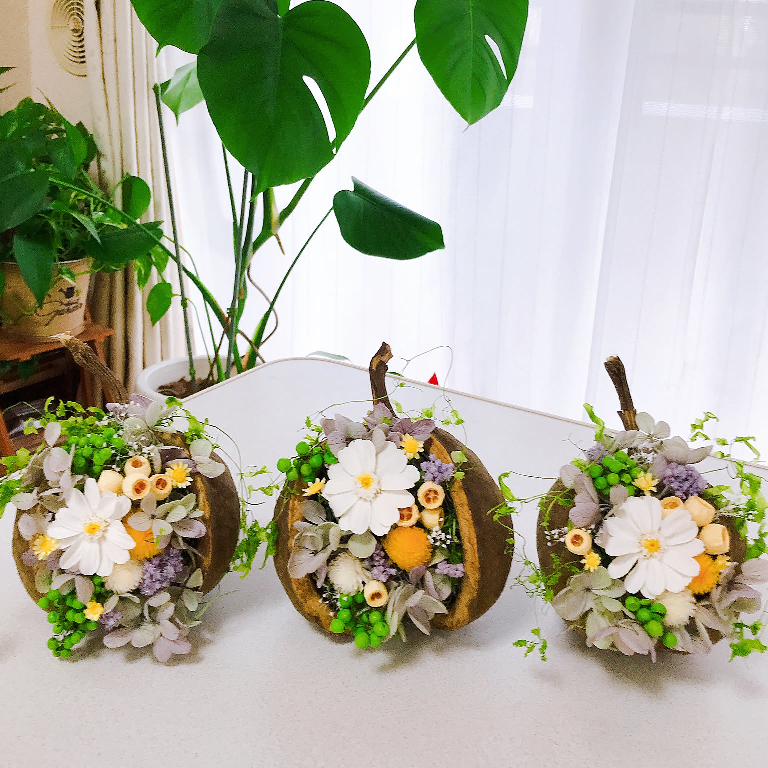 ブッダナッツ♡オーダー専用ページ♬.*゜ ブッダナッツ♡オーダー専用ページ♬.*゜ ブッダナッツ♡オーダー専用