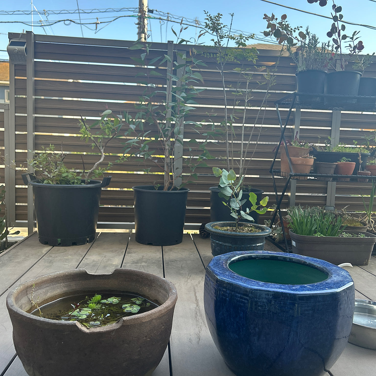 【水漏れ注意】明治時代 備前焼 火鉢 置物 植木鉢 プランター ガーデニング 水漏れ注意】明治時代 備前焼 火鉢 置物 植木鉢 プランター ガーデニング