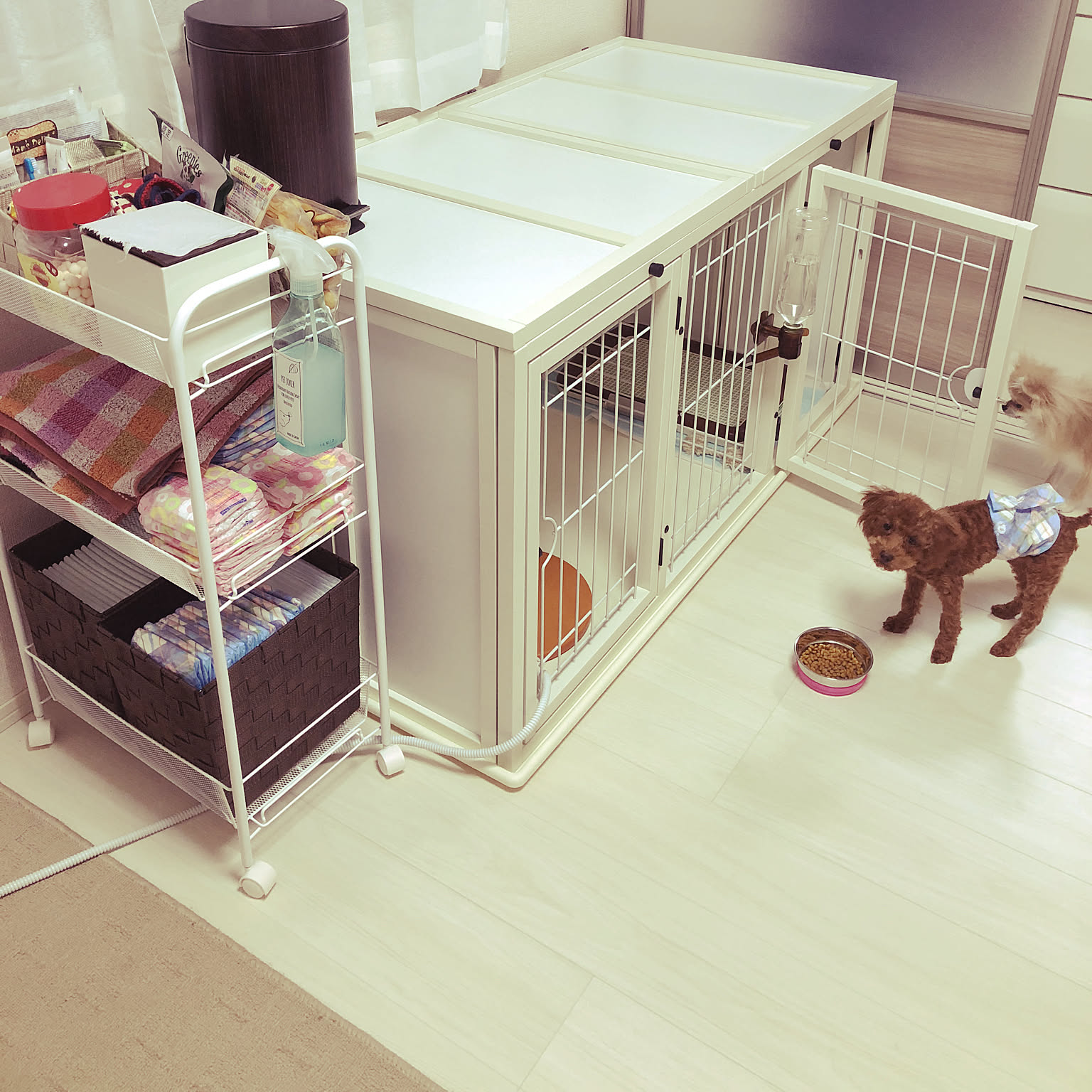 ニトリ 犬用ケージのおすすめ商品とおしゃれな実例 ｜ RoomClip