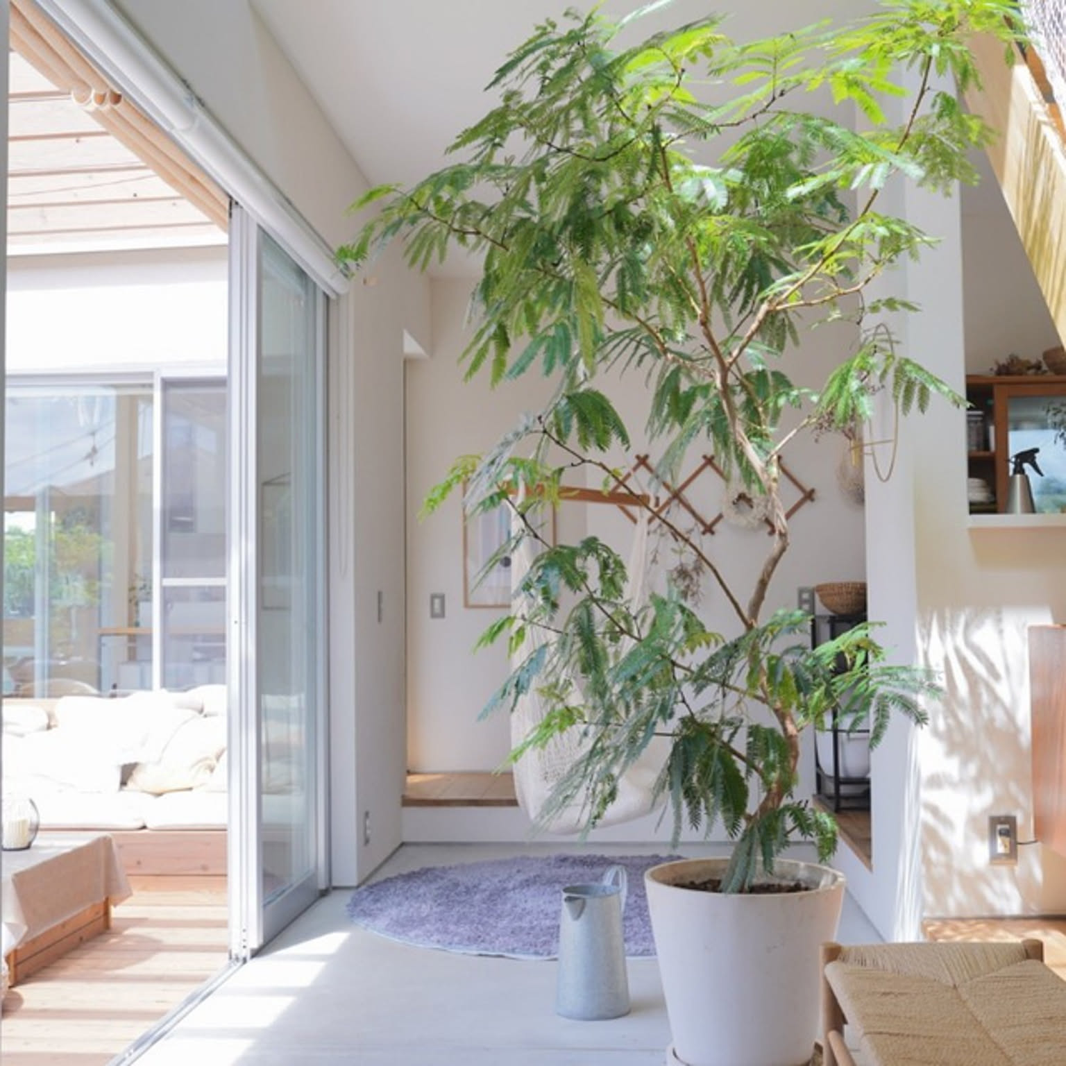 dee2236658c19cf12c1b55d7d09ed1