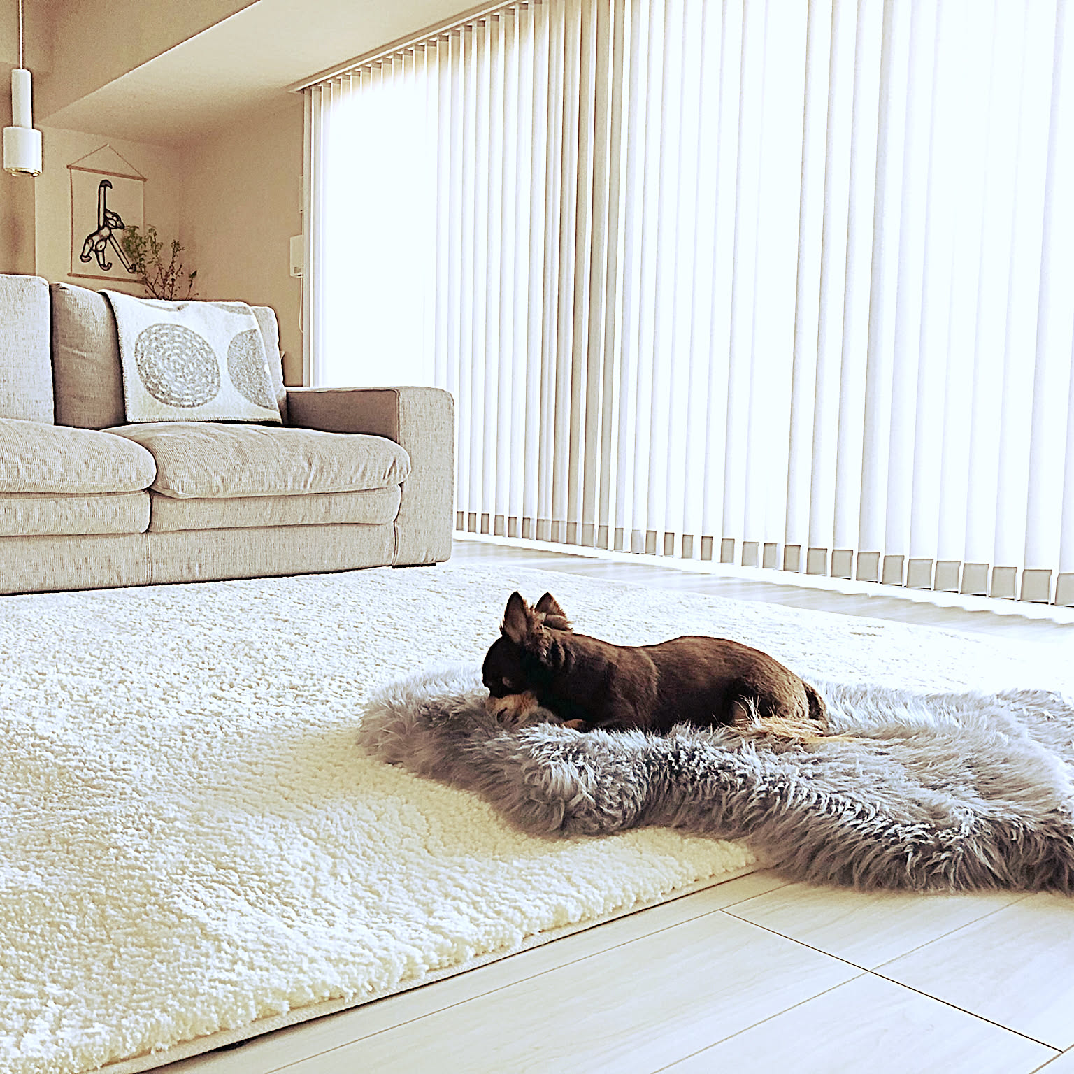 df3adea89bbfb68b52832020800325