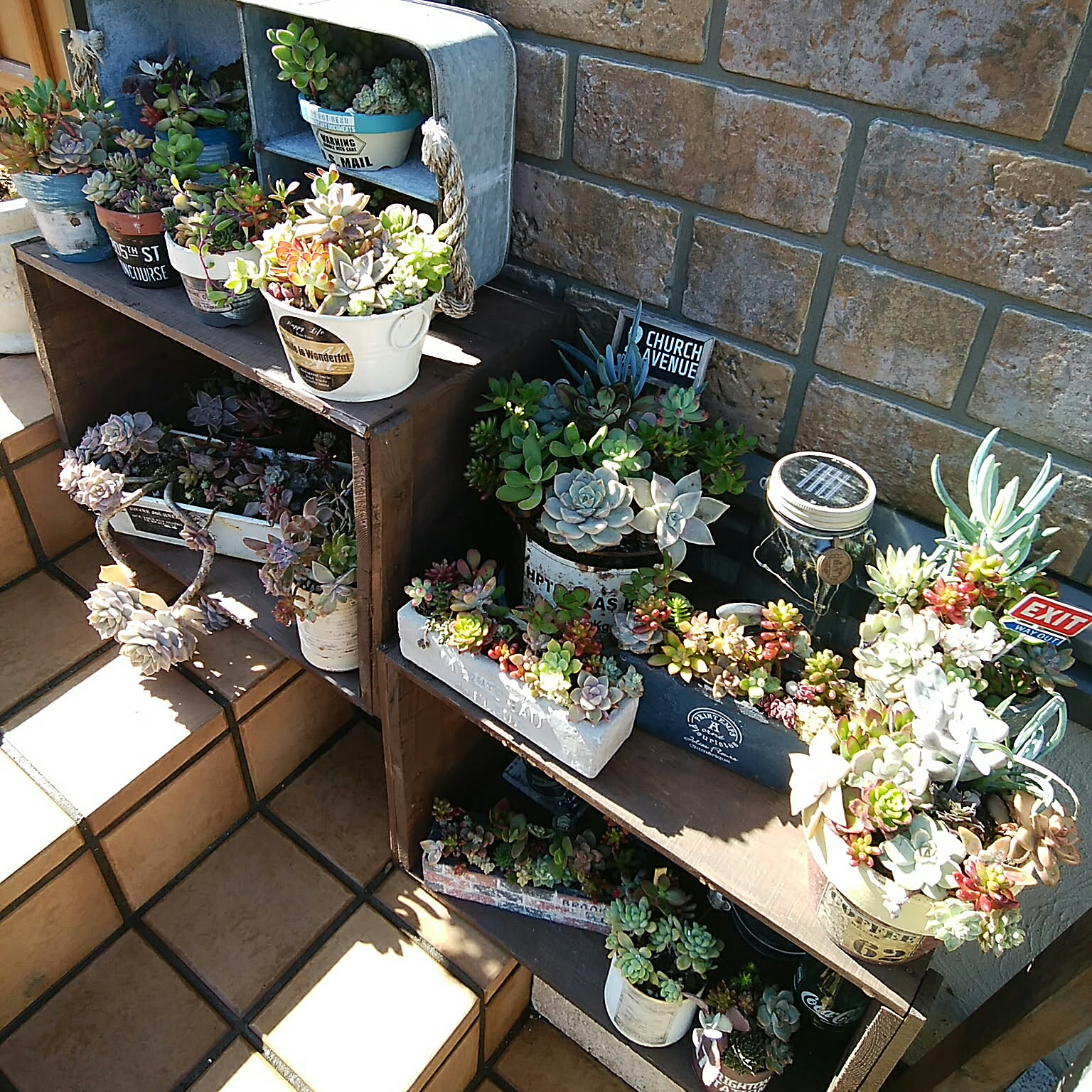MIYU様 多肉植物棚　GAI-MS80A ♡MY♡様 多肉植物棚 GAI-NS80 - メルカリ