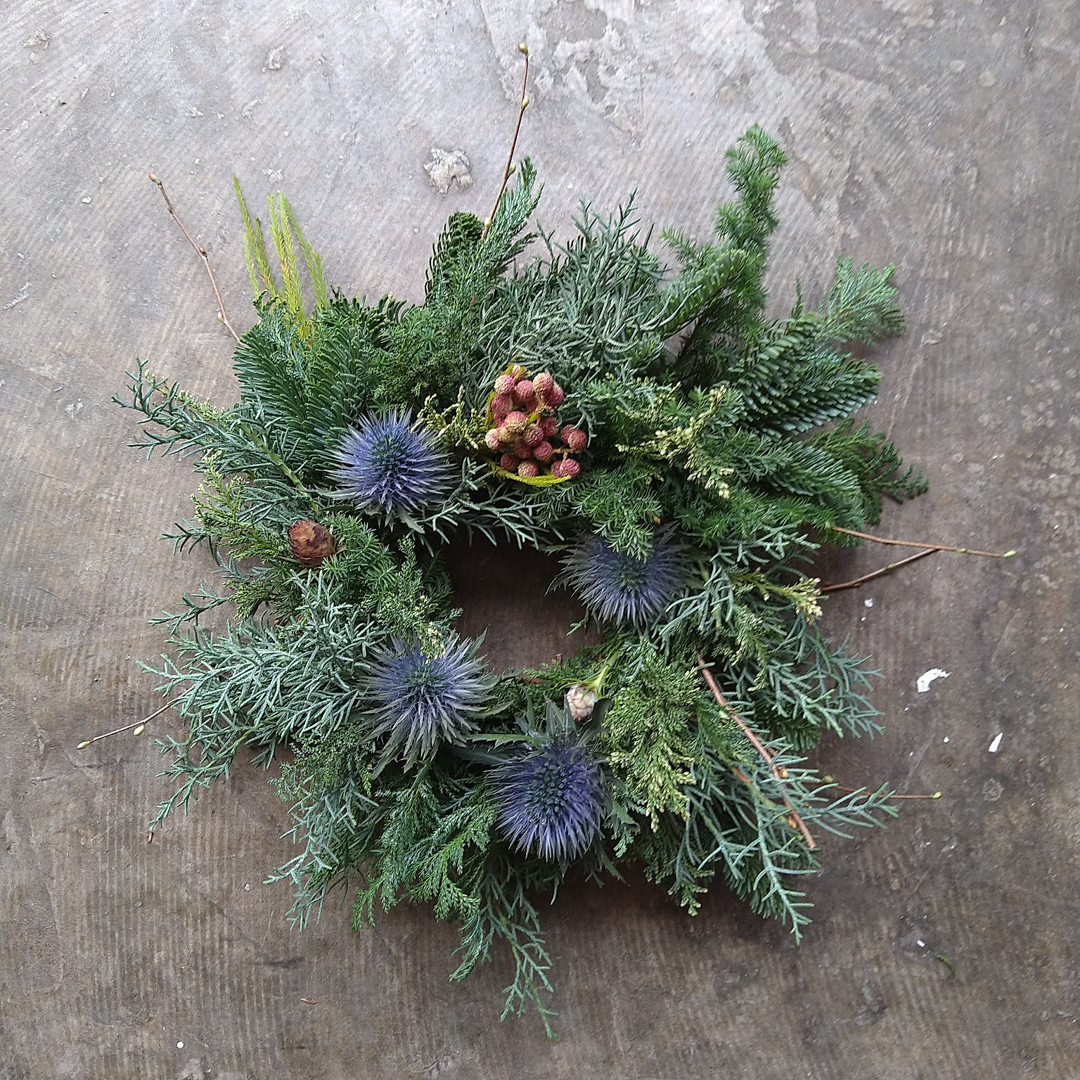 深緑ブルーバードとブルファンのXmasリース/グリーンリース/ポポラス