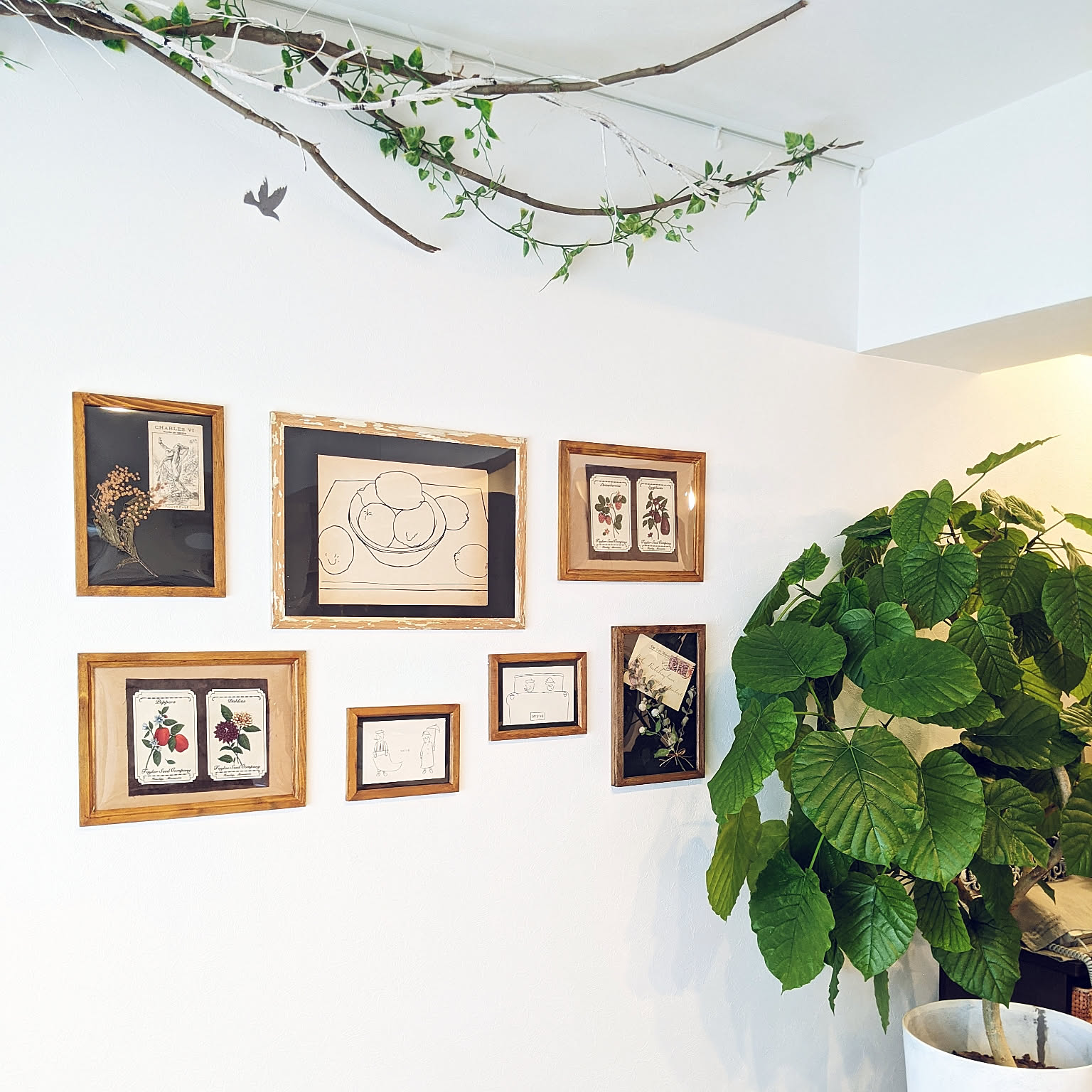 押し花専用額 押し花アート 不思議な花倶楽部 横長 花カゴ 杉野宣雄展