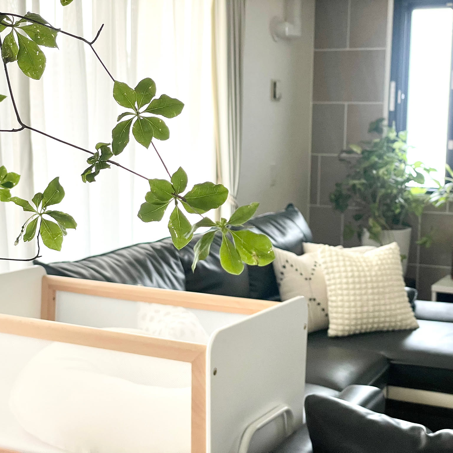リリワゴンのおすすめ商品とおしゃれな実例 ｜ RoomClip（ルーム