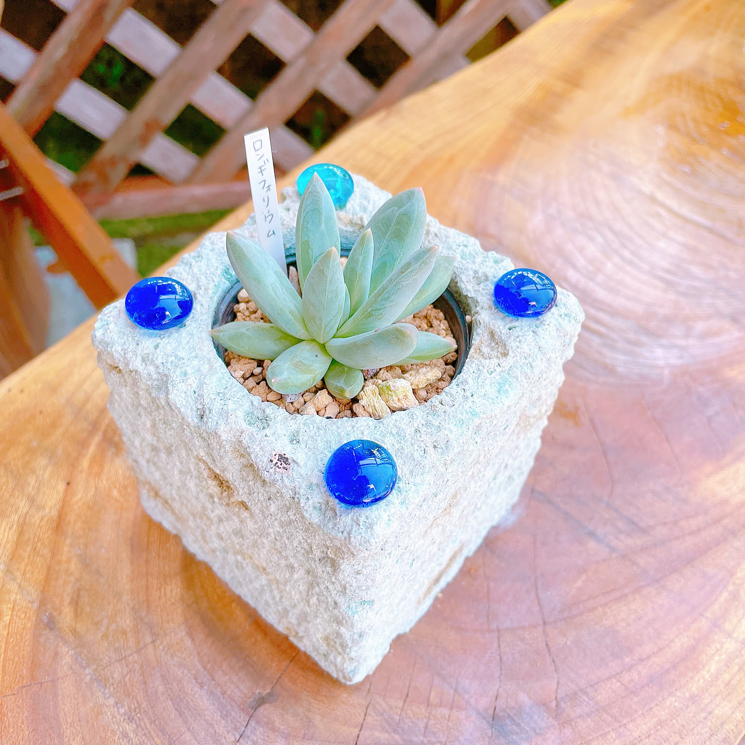 石の鉢のおすすめ商品とおしゃれな実例 ｜ RoomClip（ルームクリップ）