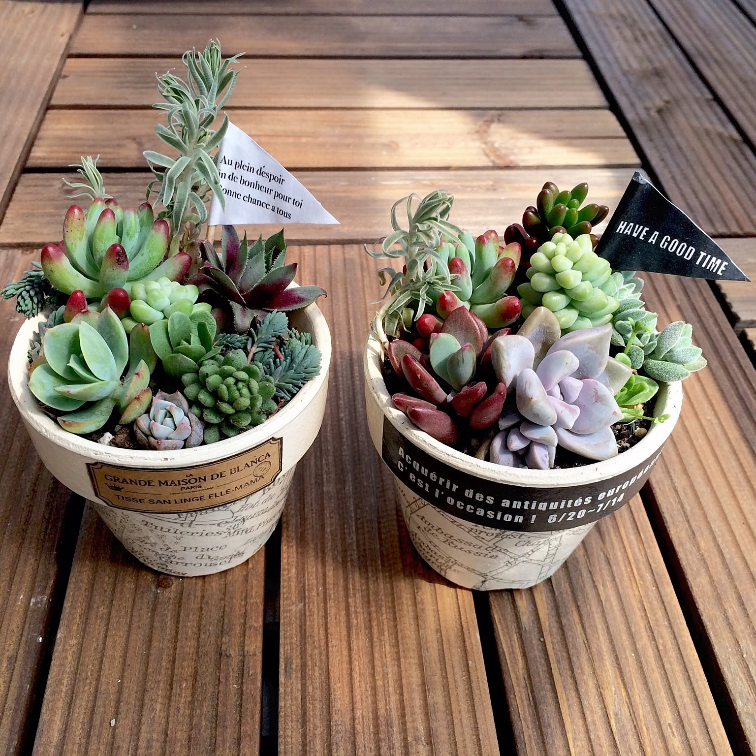 e1e9775bfa714c28fac29aa58a6351