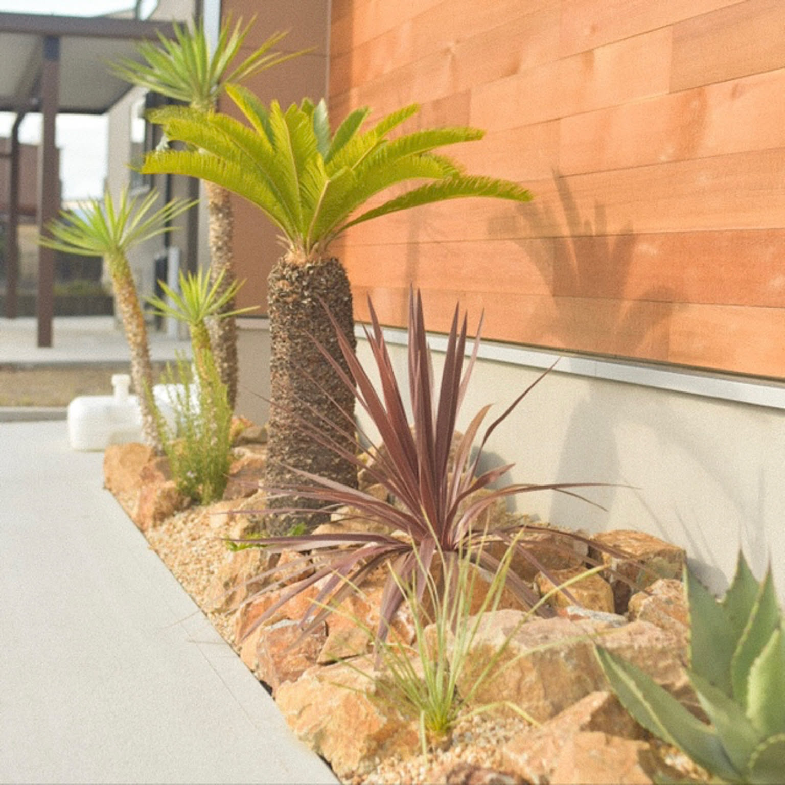 ソテツ ドライガーデンのおしゃれなアレンジ・飾り方のインテリア実例