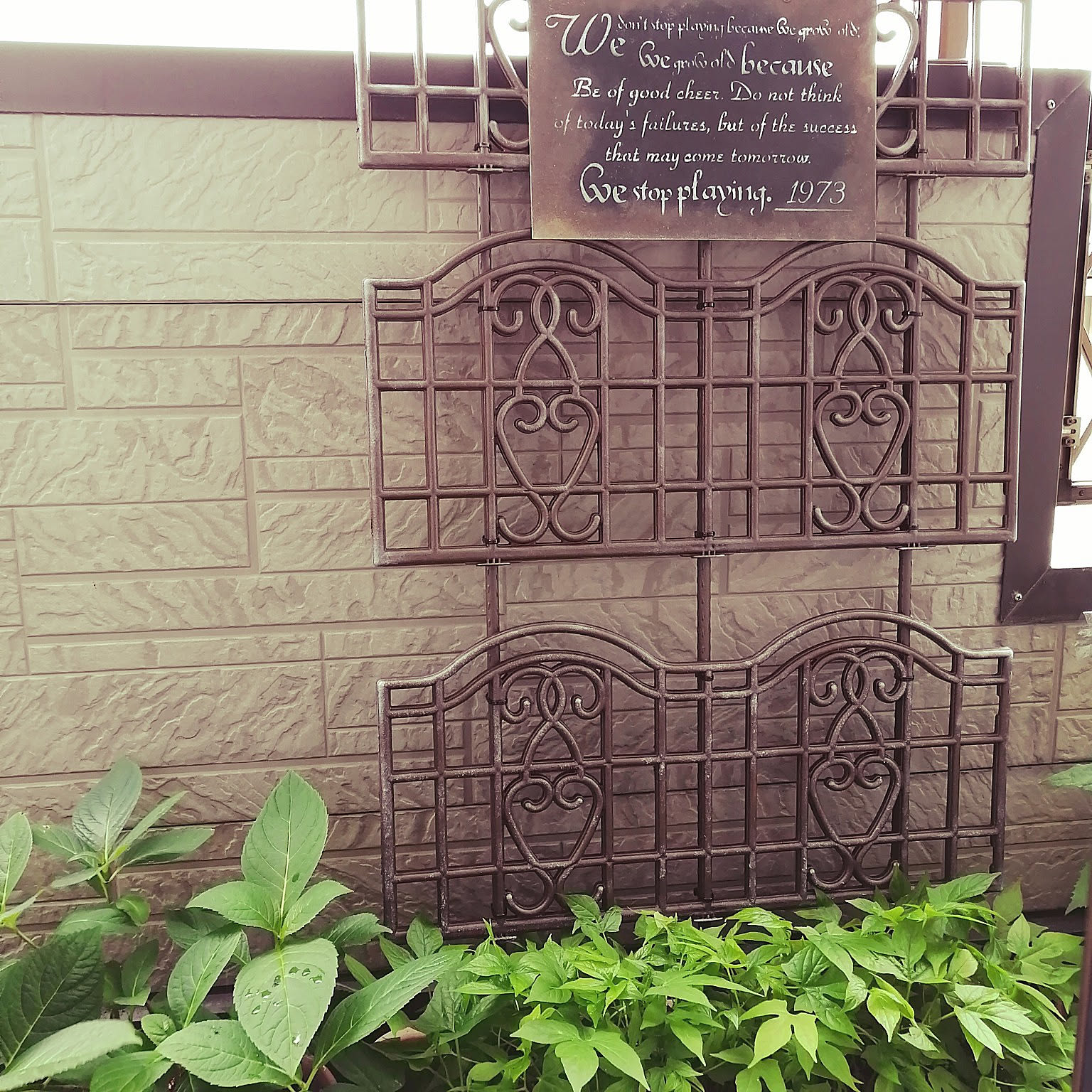 e213a82d2fe55d6253228eeec973dc