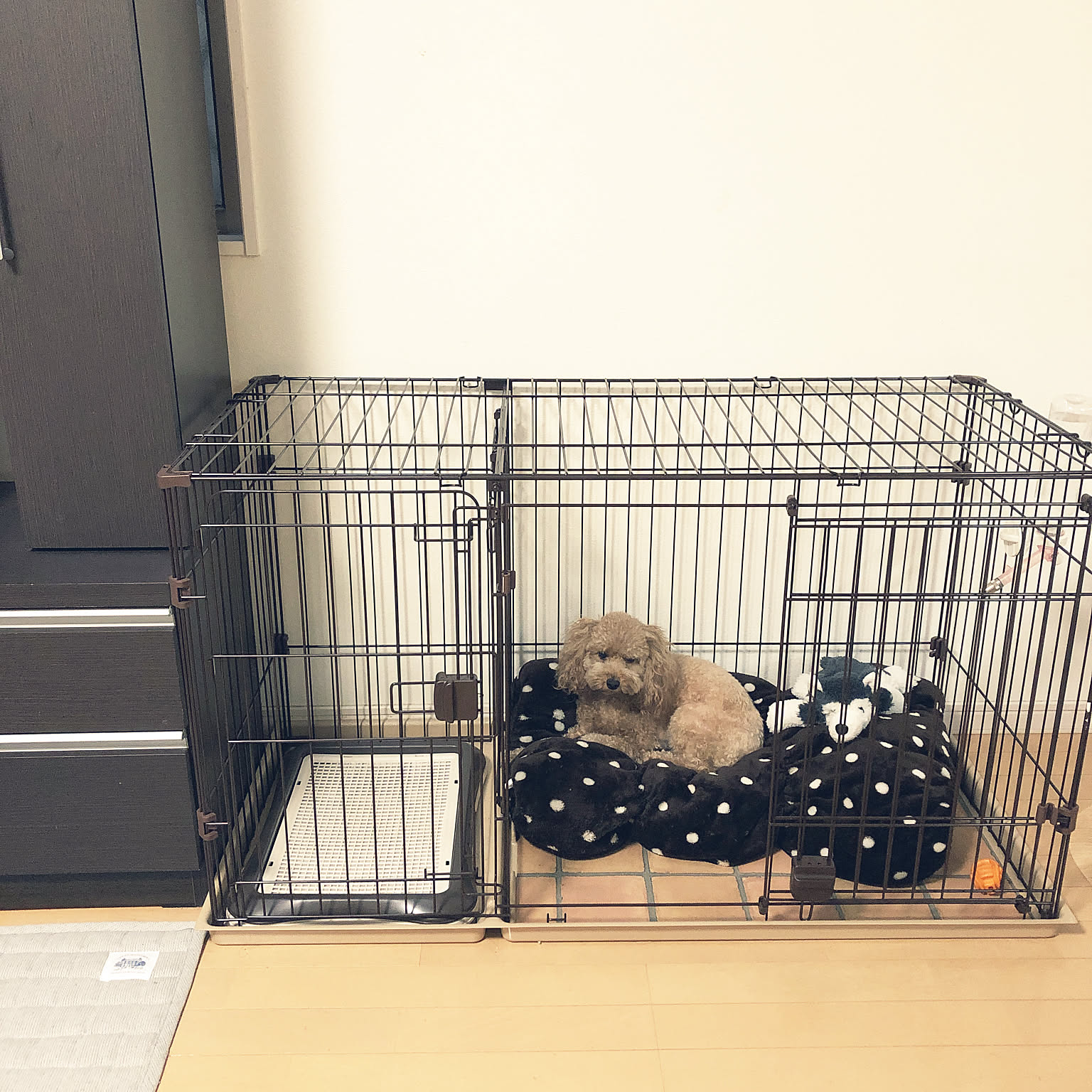 カインズ 犬用ケージのおすすめ商品とおしゃれな実例 ｜ RoomClip