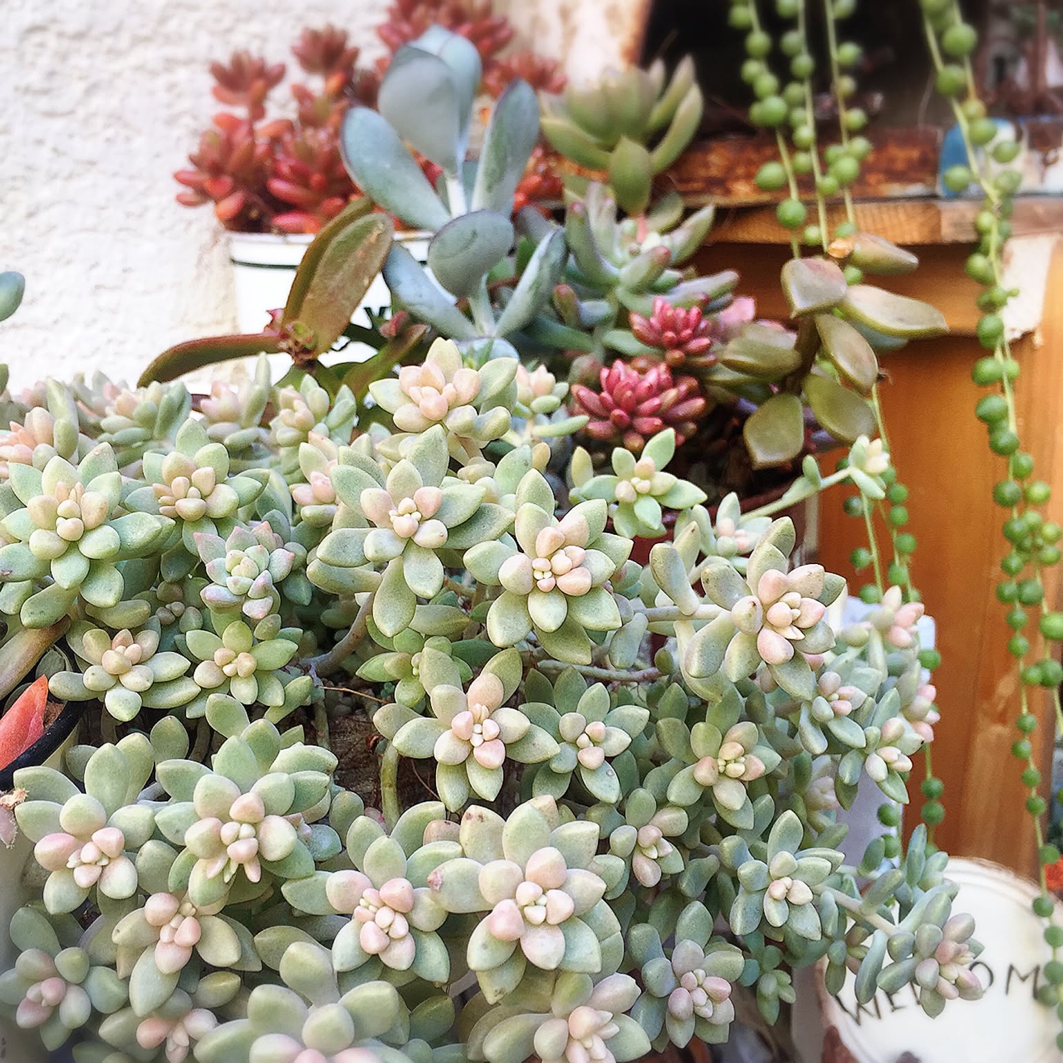 e265e170538926454d85a65c3a8d92