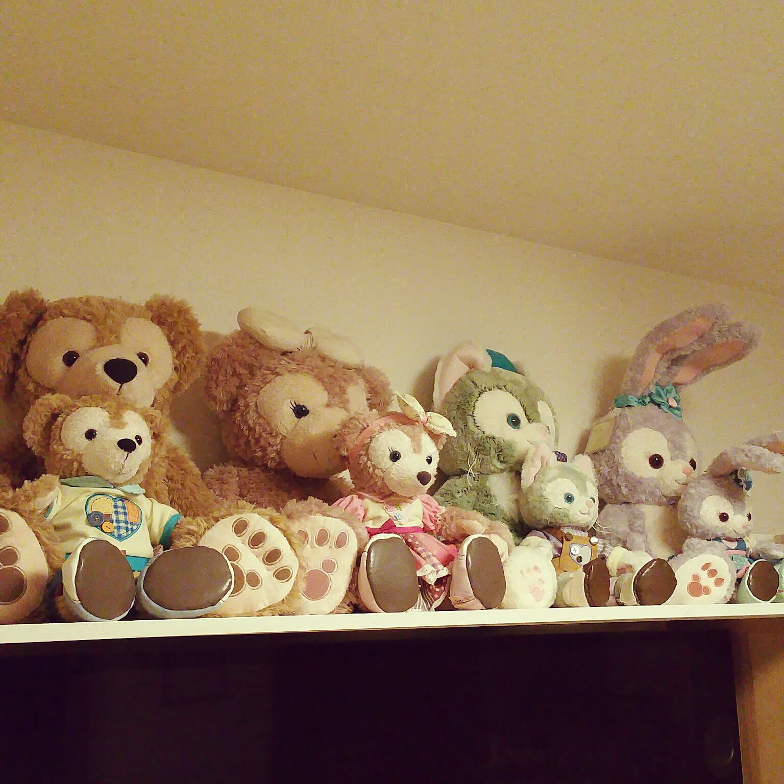 ダッフィー大好き様 ダッフィー大好き様 専用