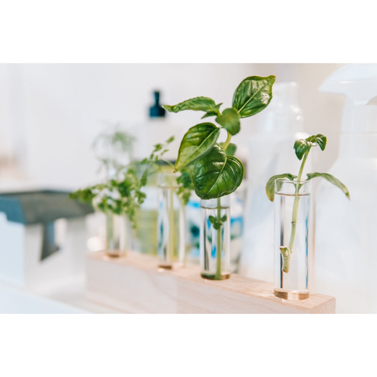 フライングタイガーの花瓶のおすすめ商品とおしゃれな実例 | RoomClip フライングタイガーの花瓶のおすすめ商品とおしゃれな実例 | RoomClip