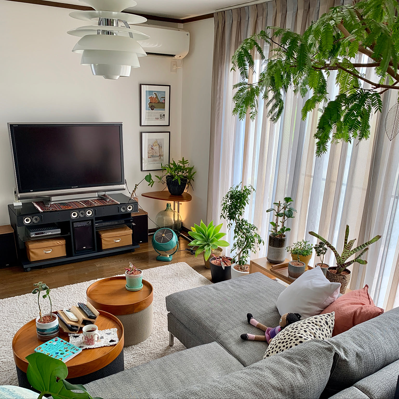 ヴィンテージポスター/観葉植物/ACTUS/植物のある暮らし/間接照明